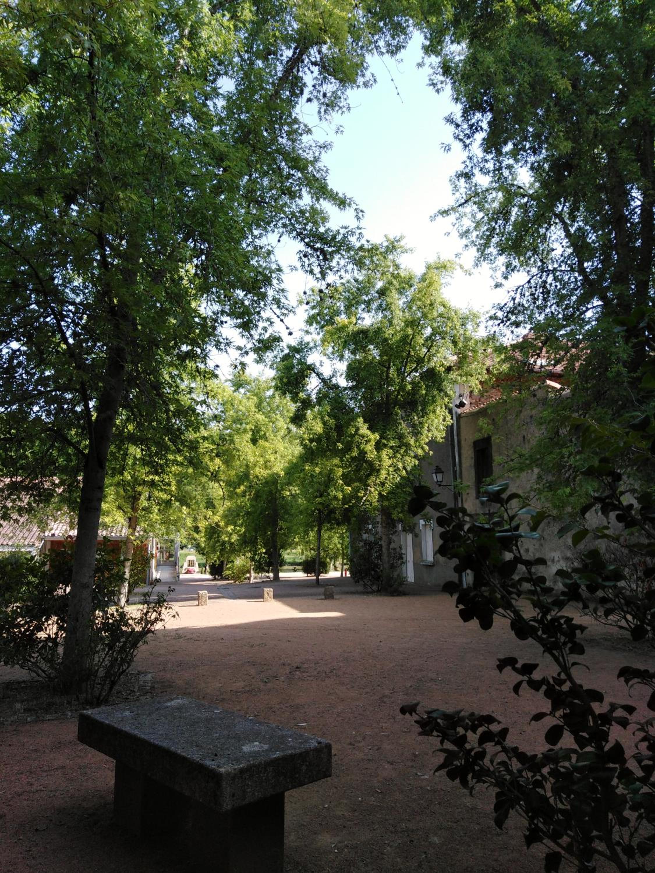 Photo 38
