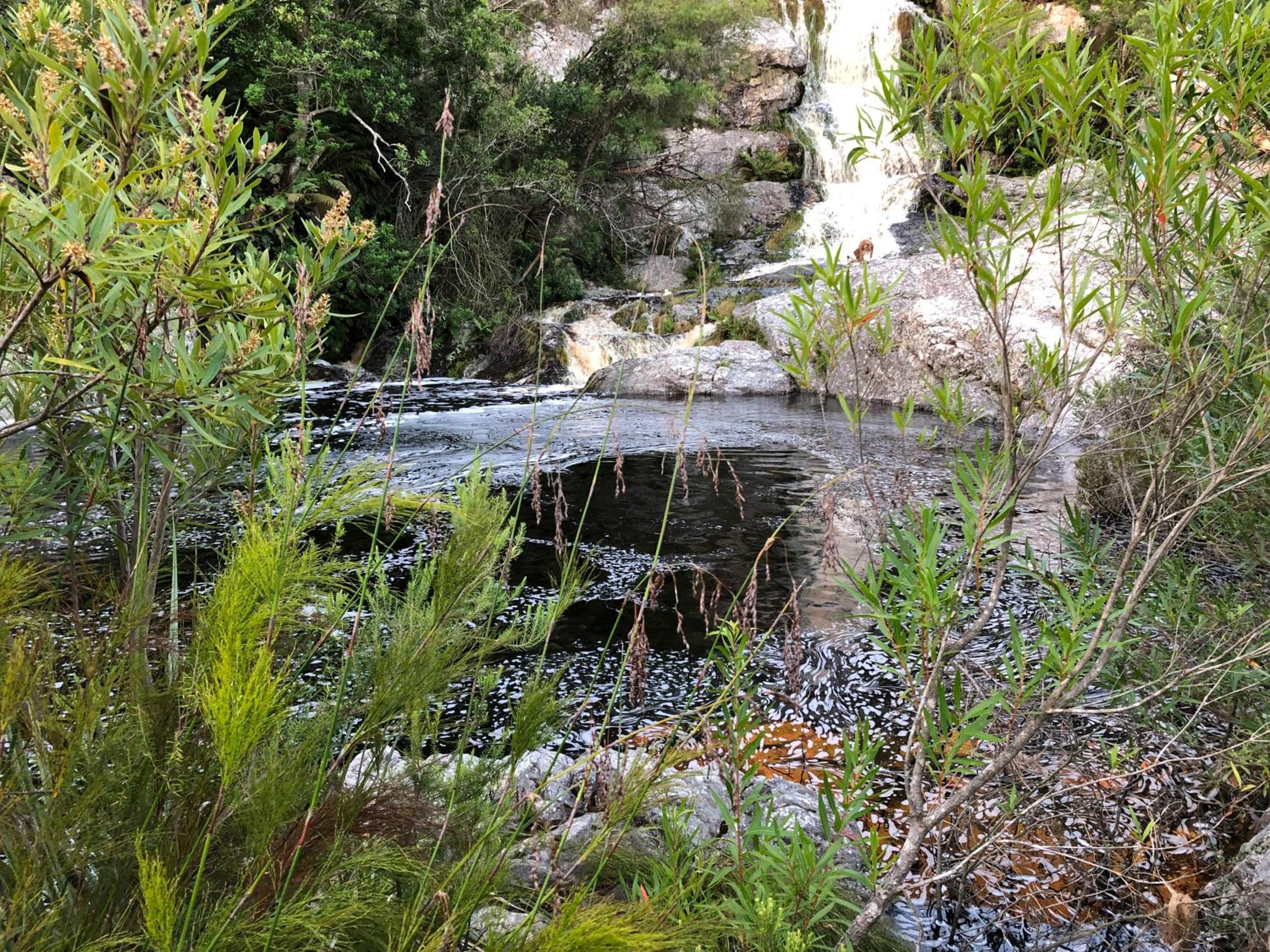 Photo 11