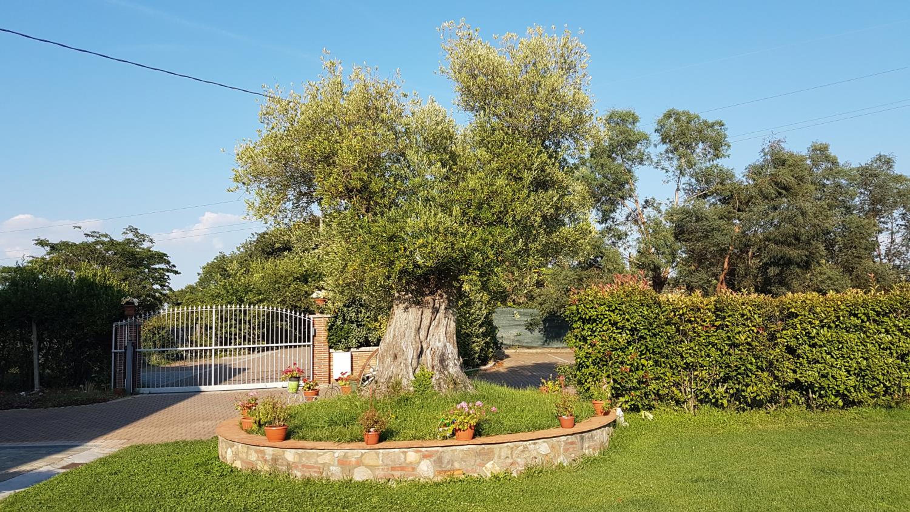Casal Sant'Elena