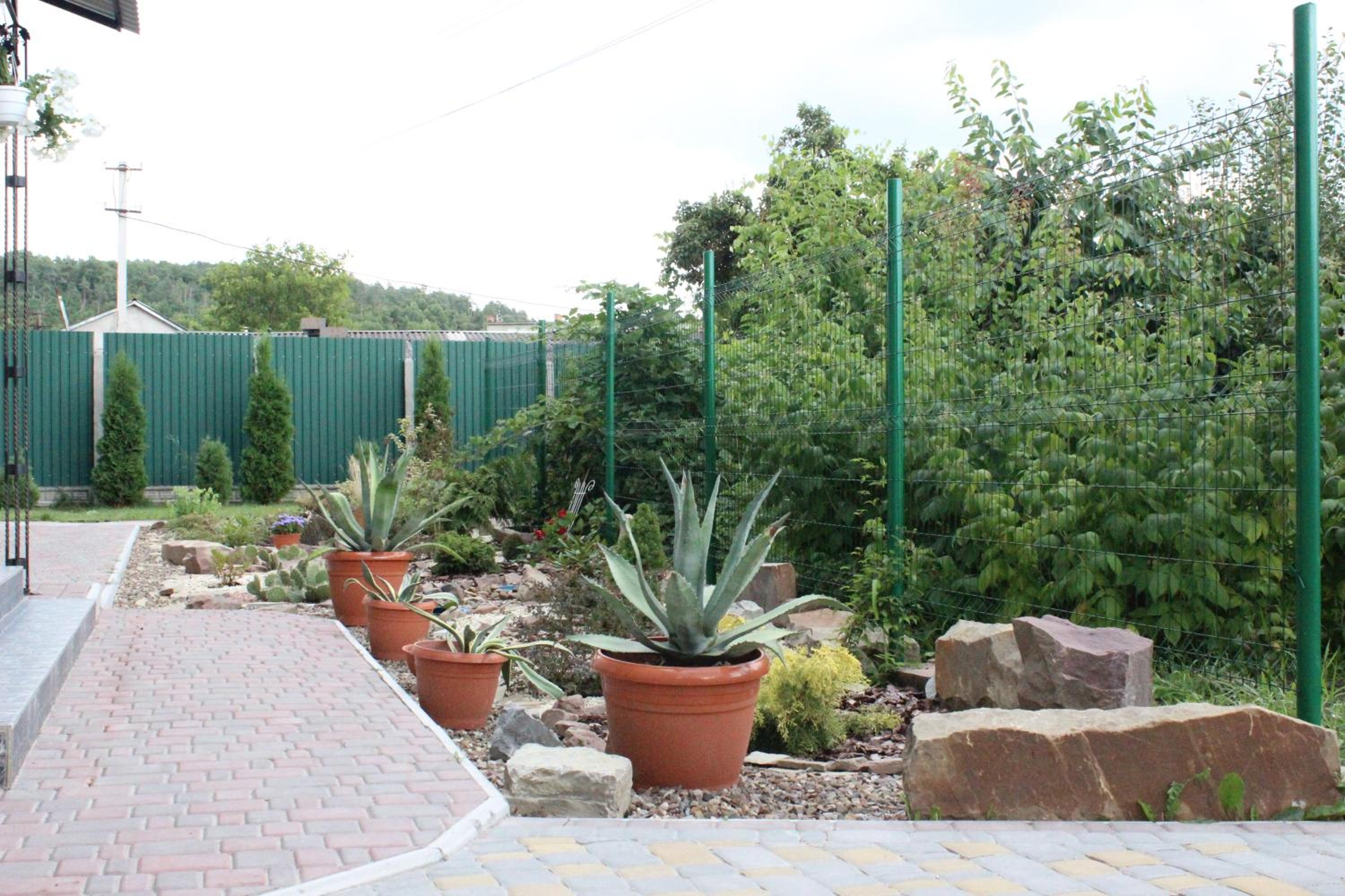 Photo 10