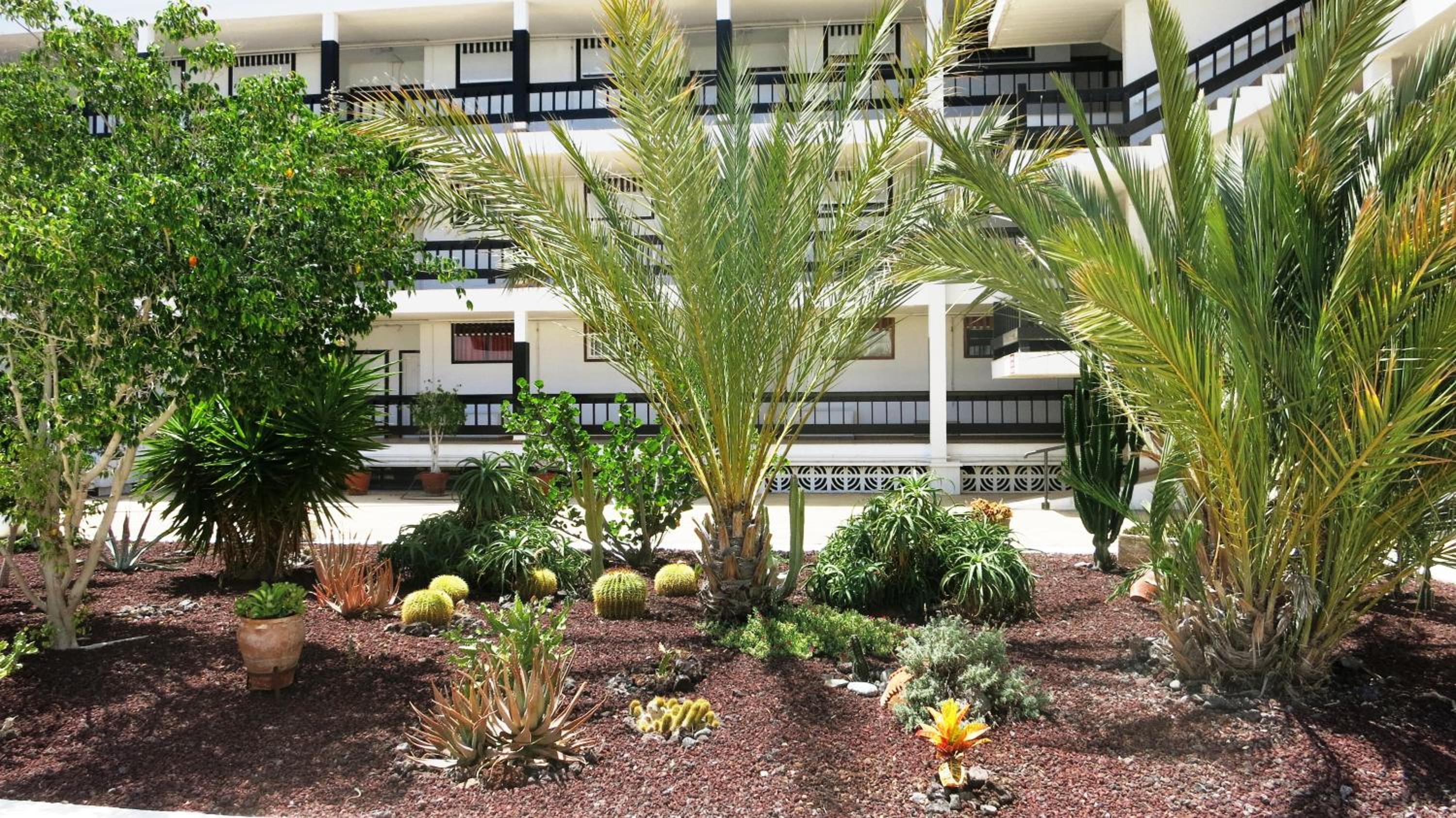 100 meters from the ocean view 5
