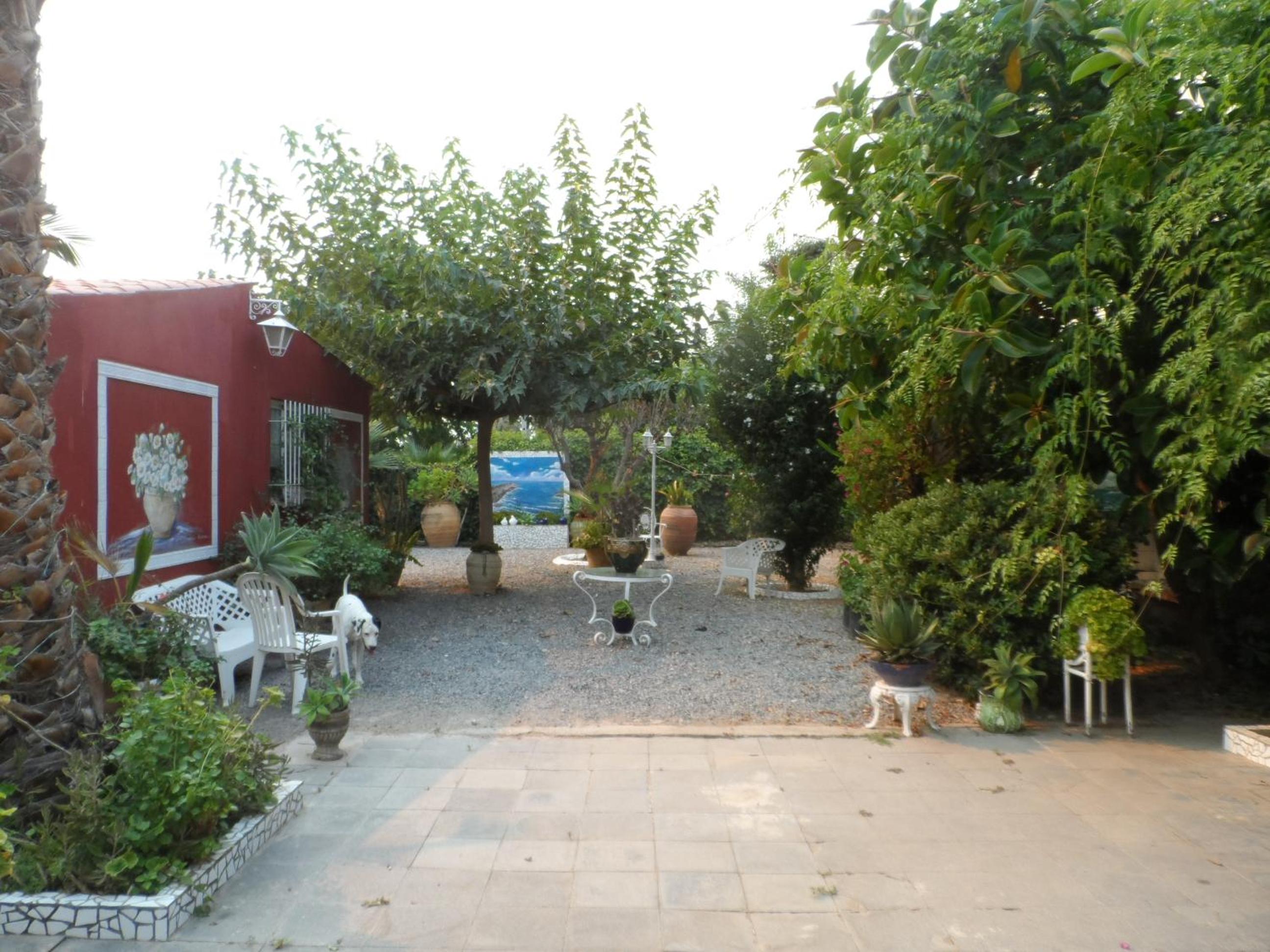 Photo 19