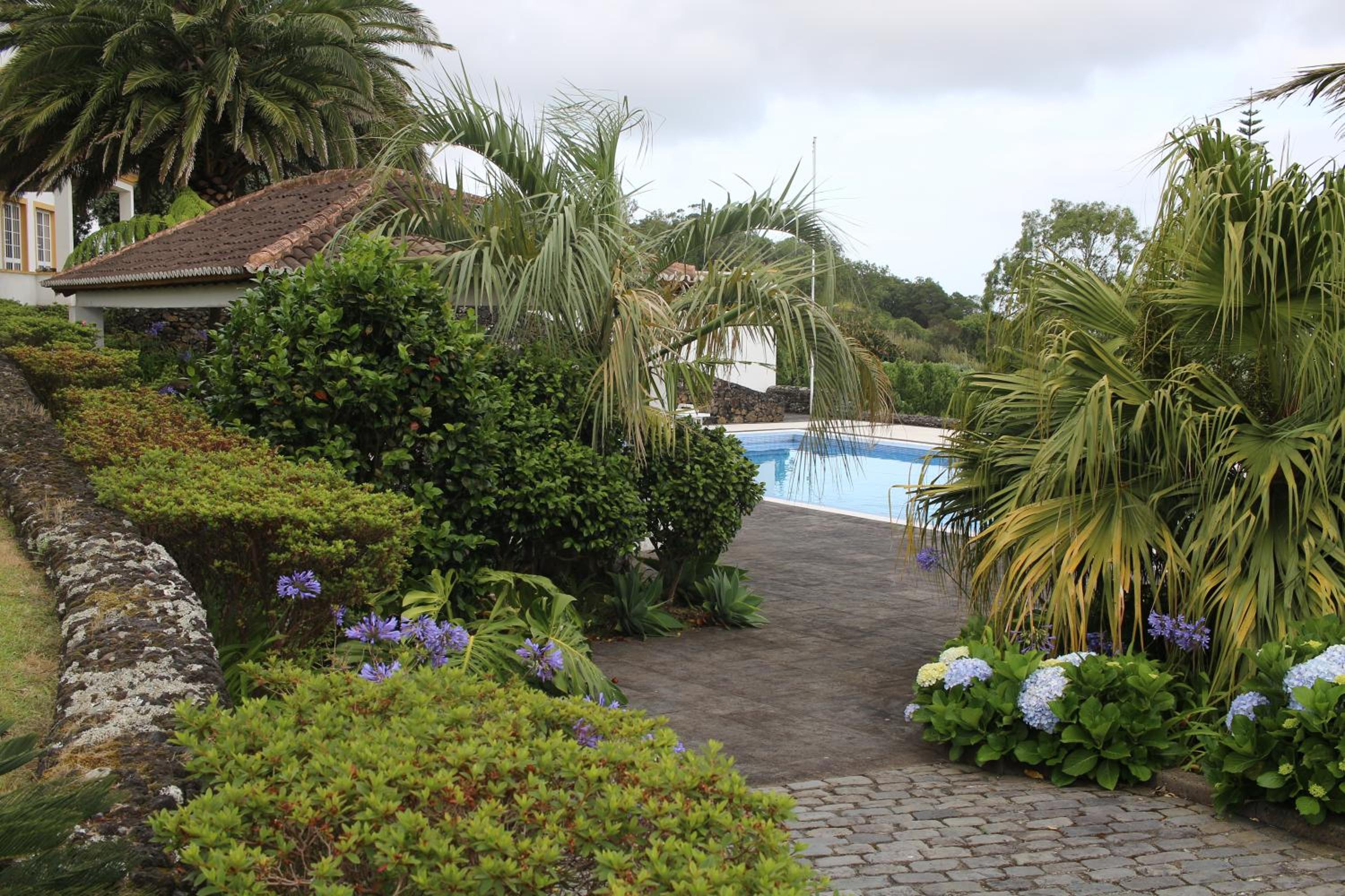 Quinta das Camélias - Açores view 5