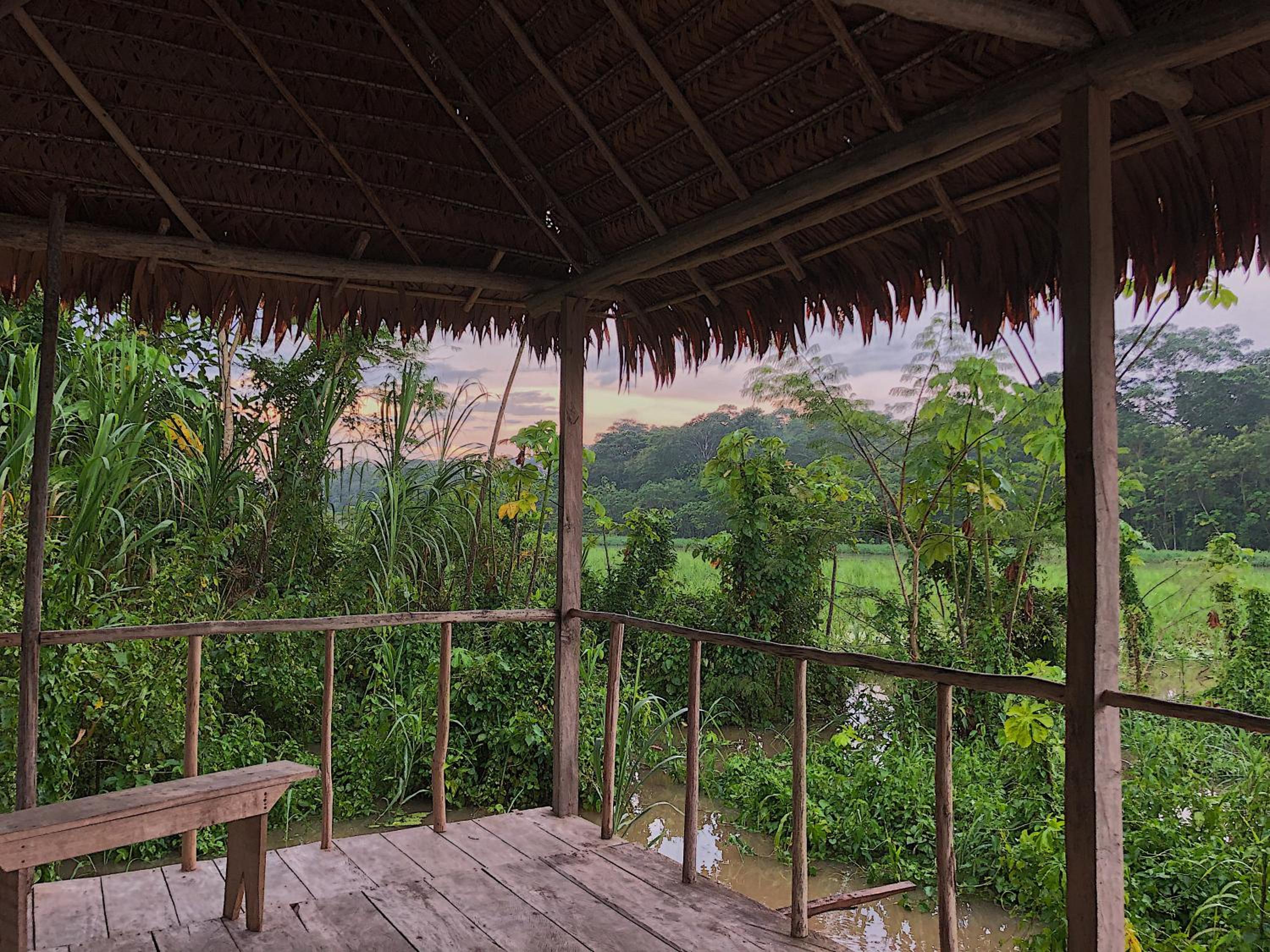 Iguana Lodge Perú view 3