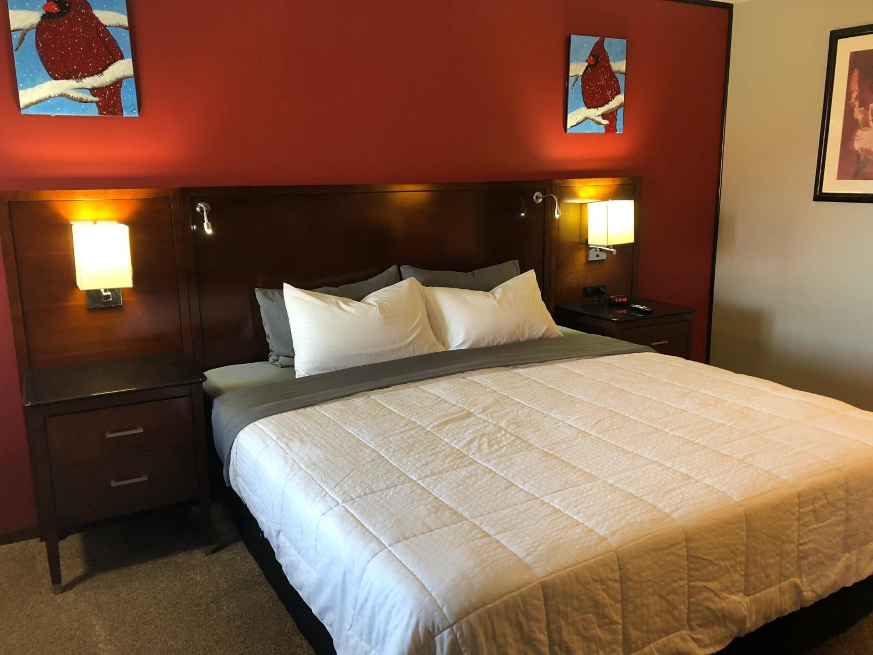 Viking Motel