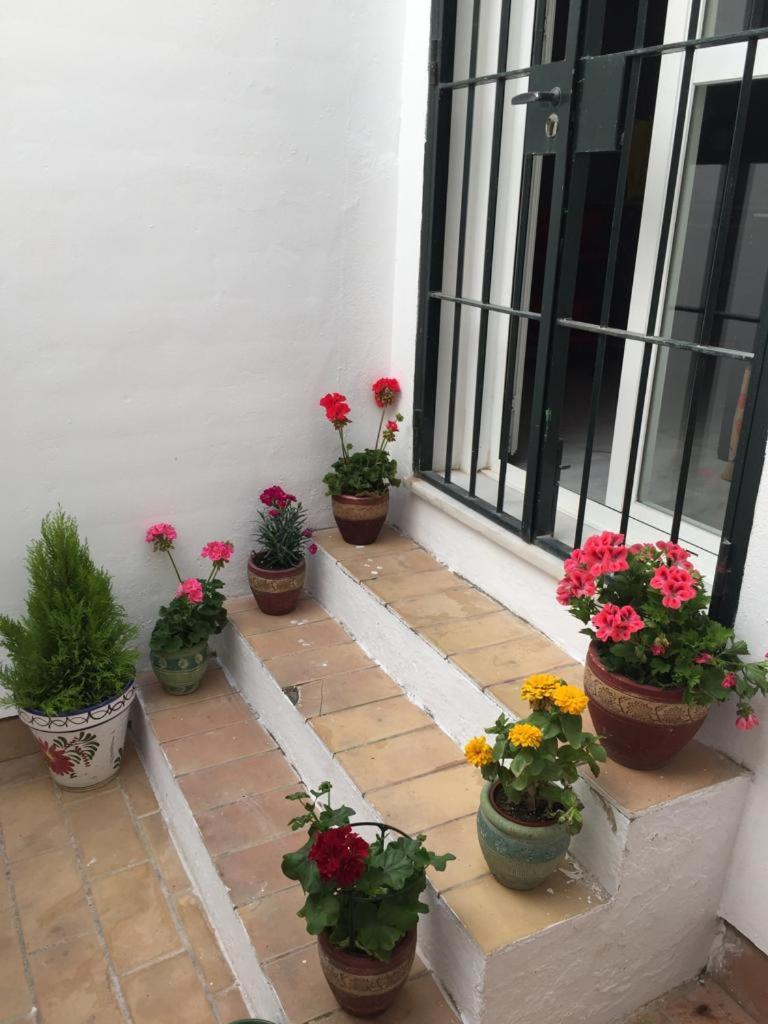 Apartamento Balneario playa Caleta