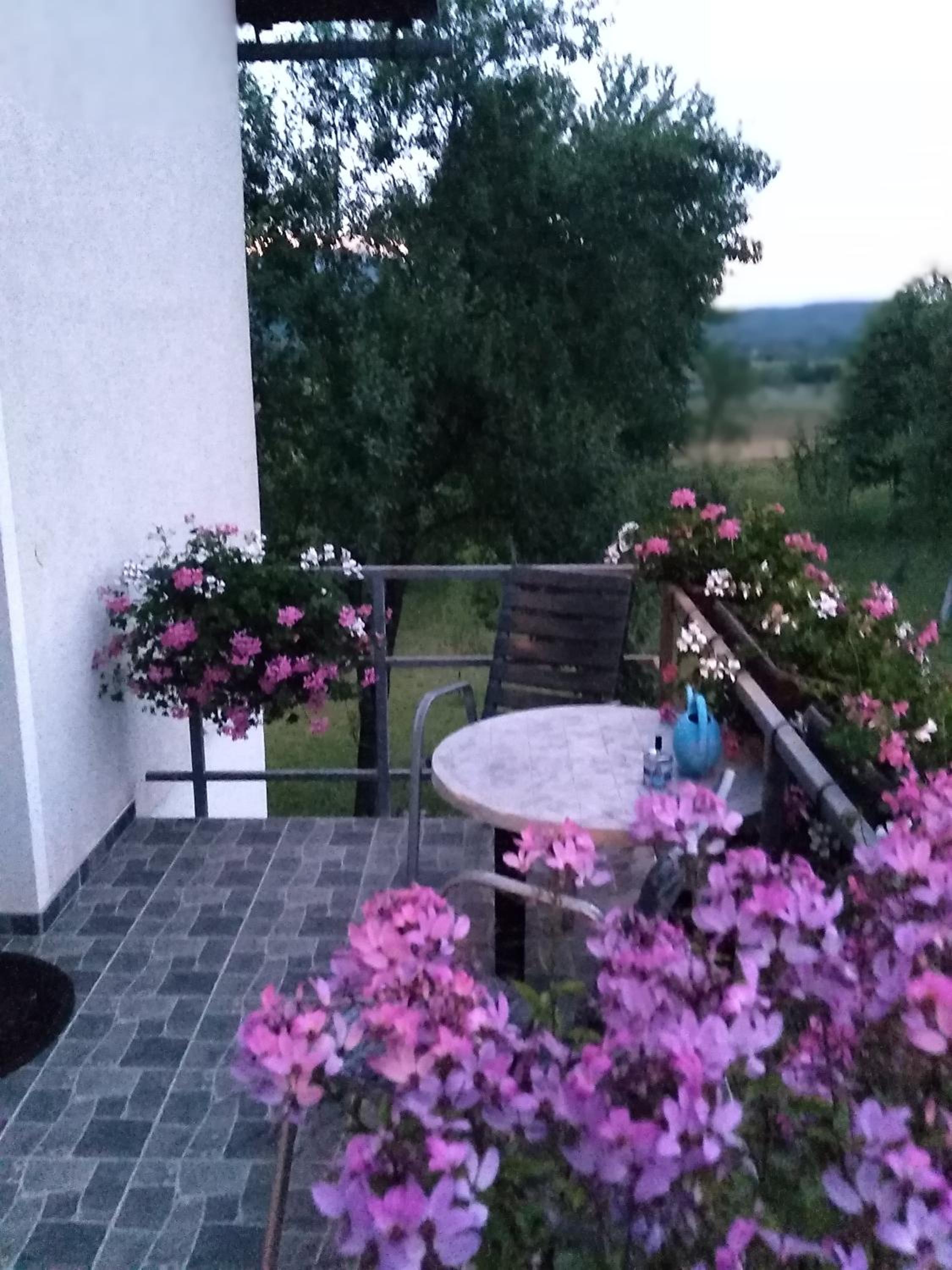 Photo 29