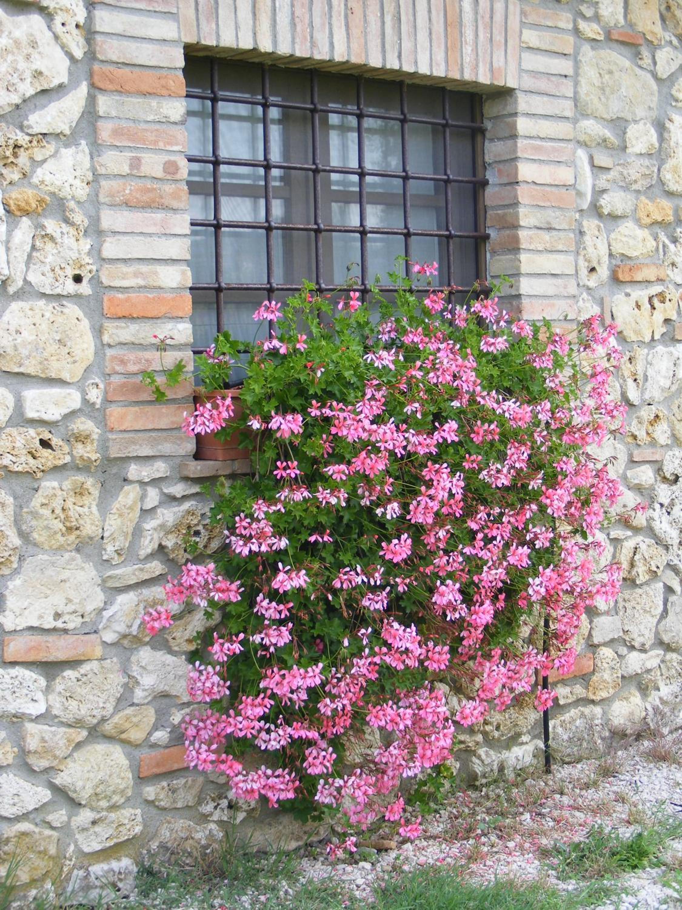 Photo 32