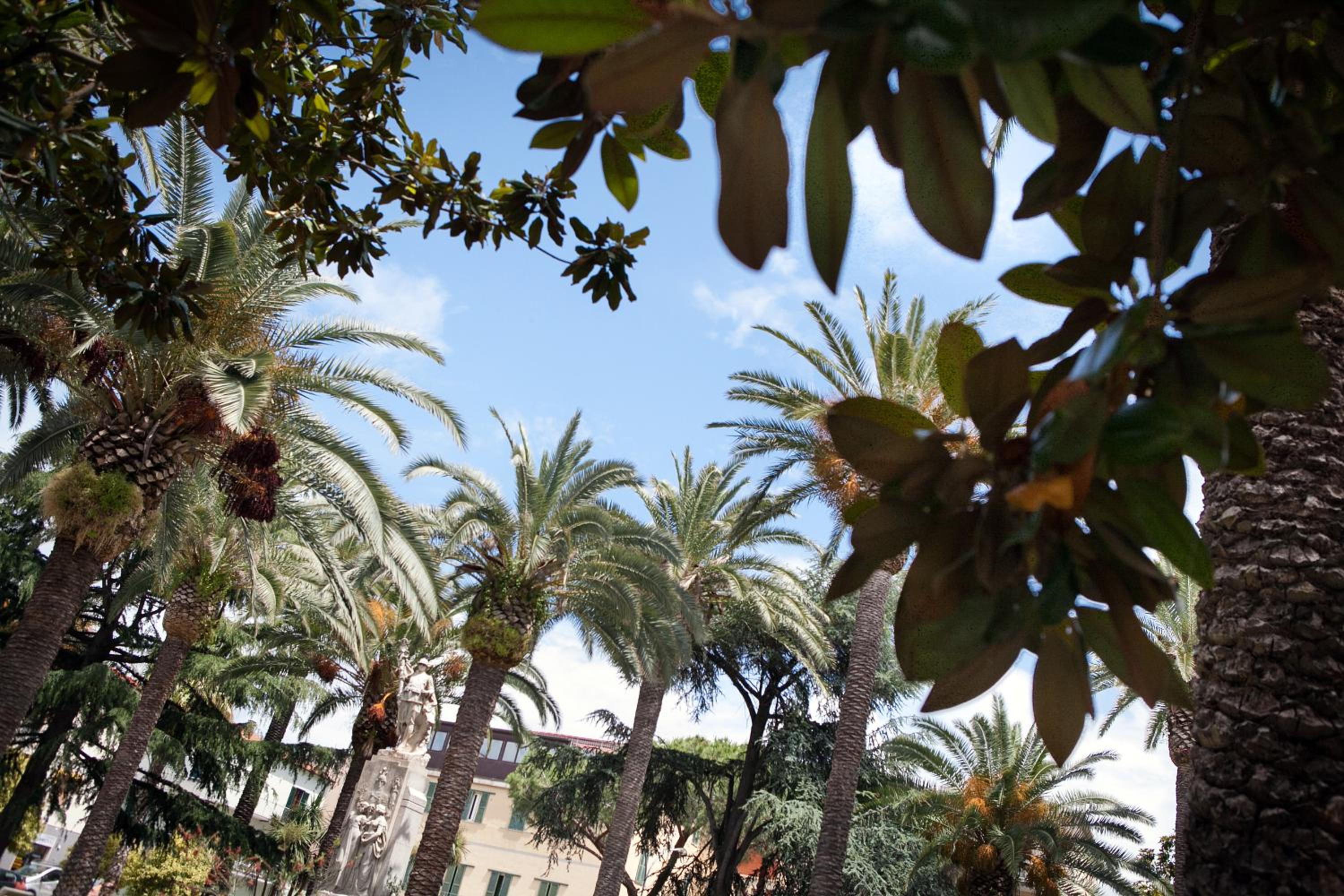 Domus Socolatae Residenza d'Epoca Charming B&B - Adults Only
