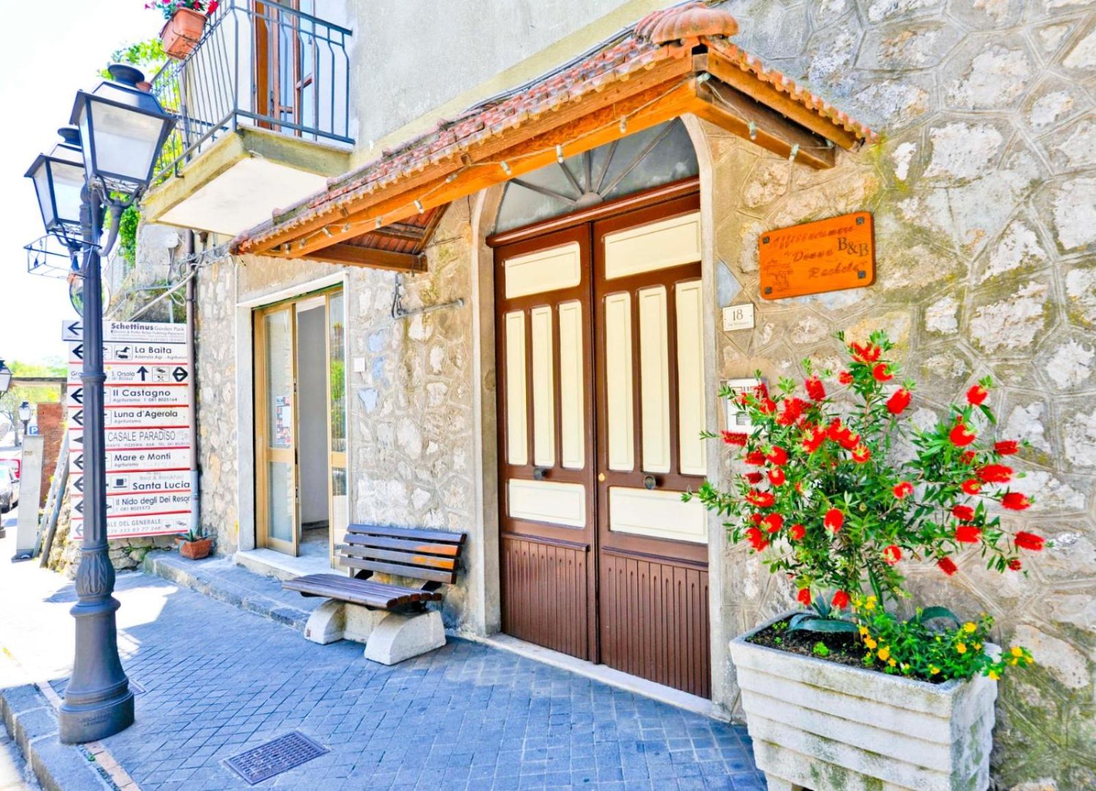 Donna Rachele photo 1