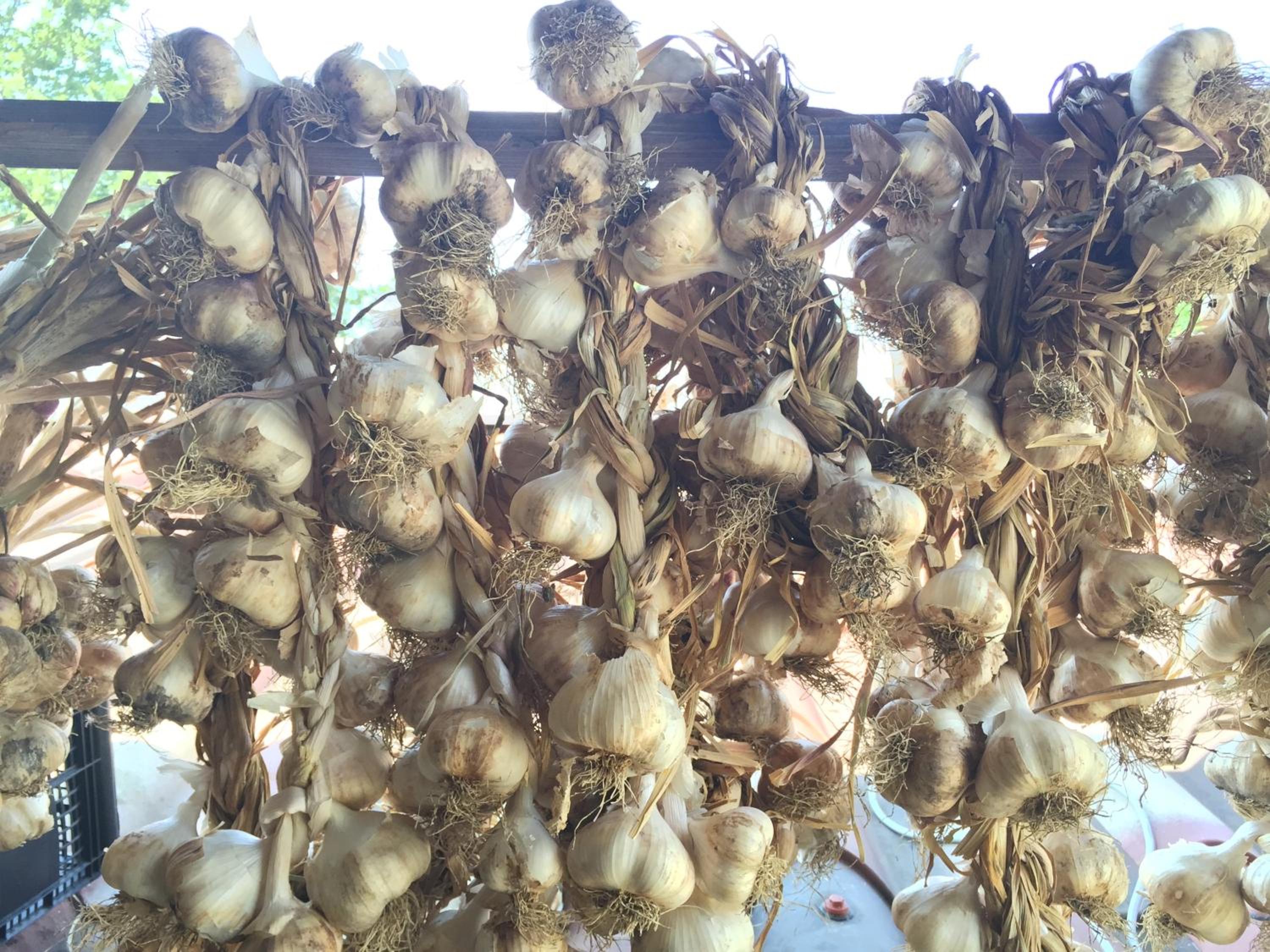 Agriturismo La Dimora dei Cavalieri photo 4