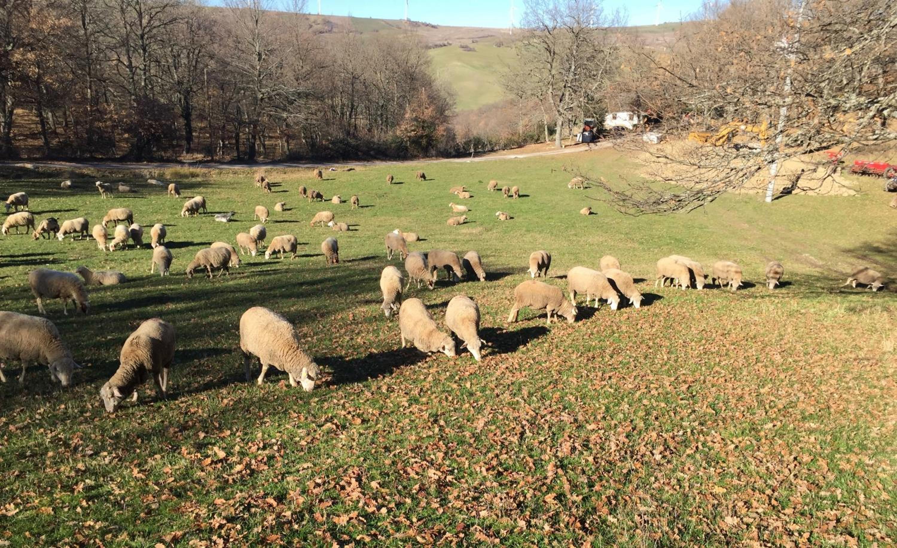 Agriturismo La Dimora dei Cavalieri photo 3