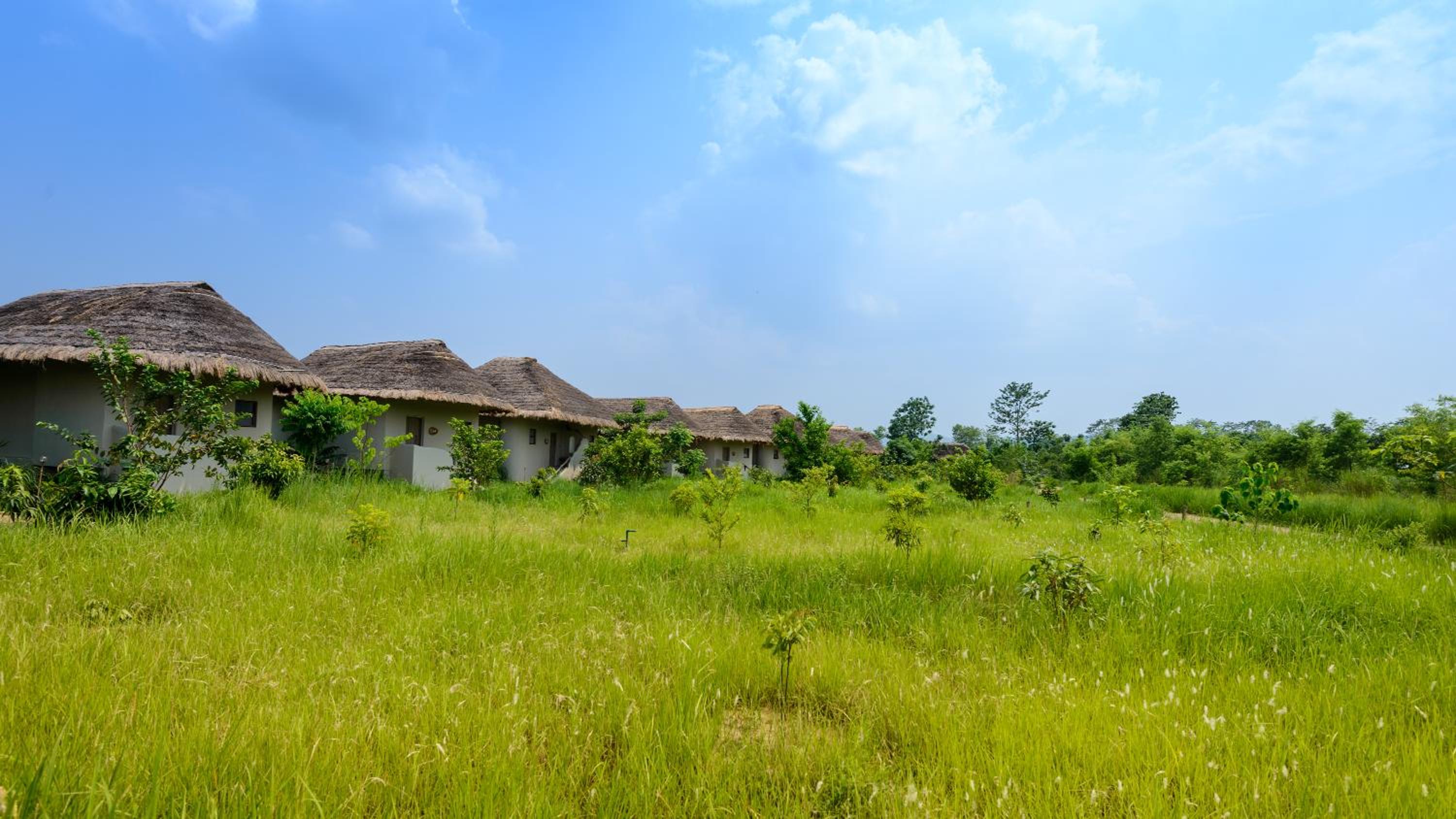 Barahi Jungle Lodge