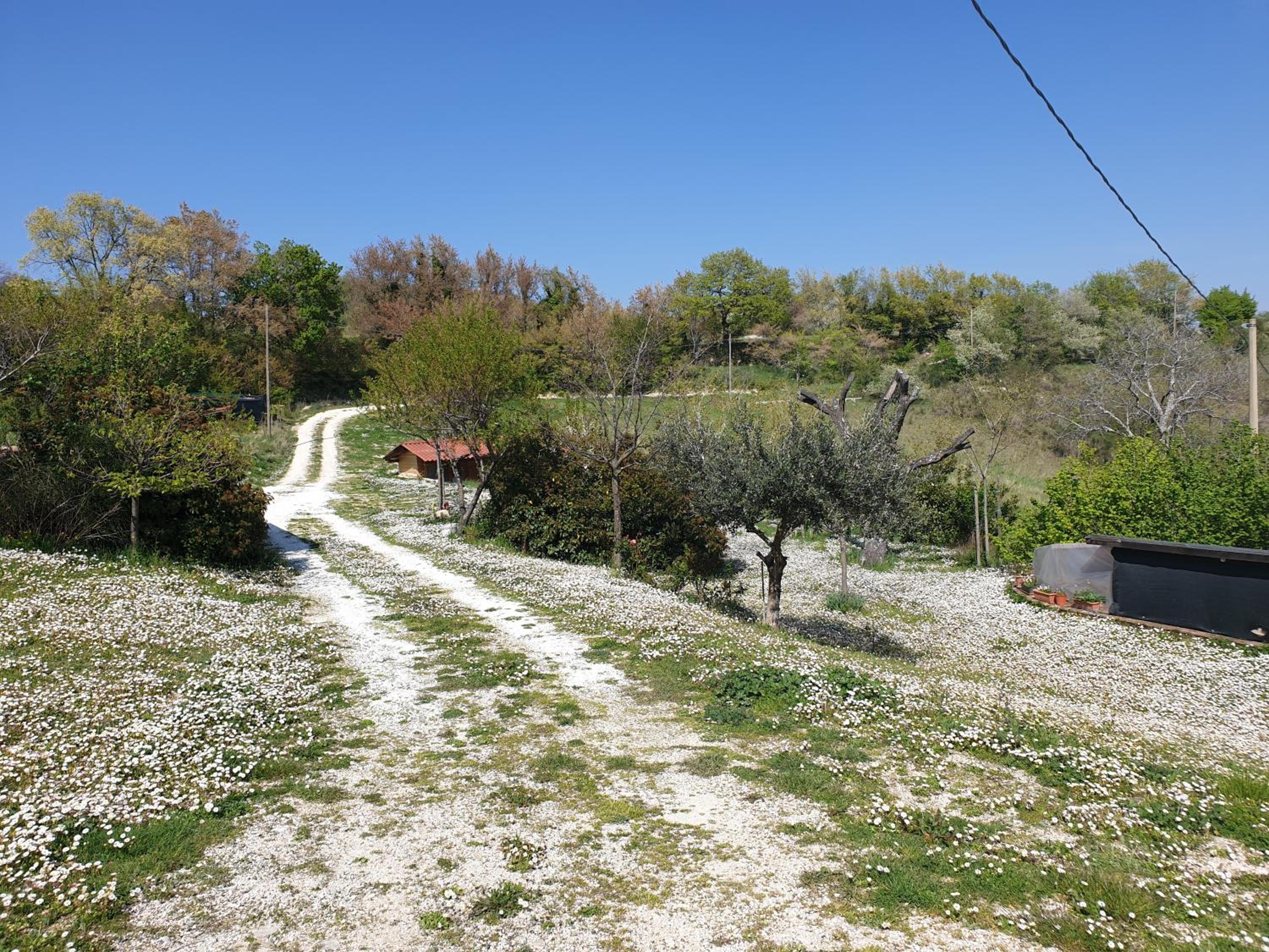 Agriturismo Bosimano