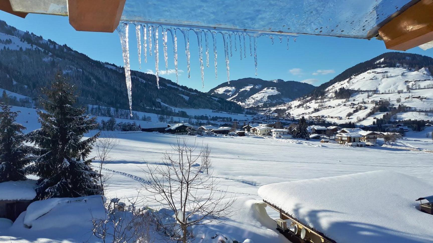 Haus Joelblick und Haus Oberadelsber