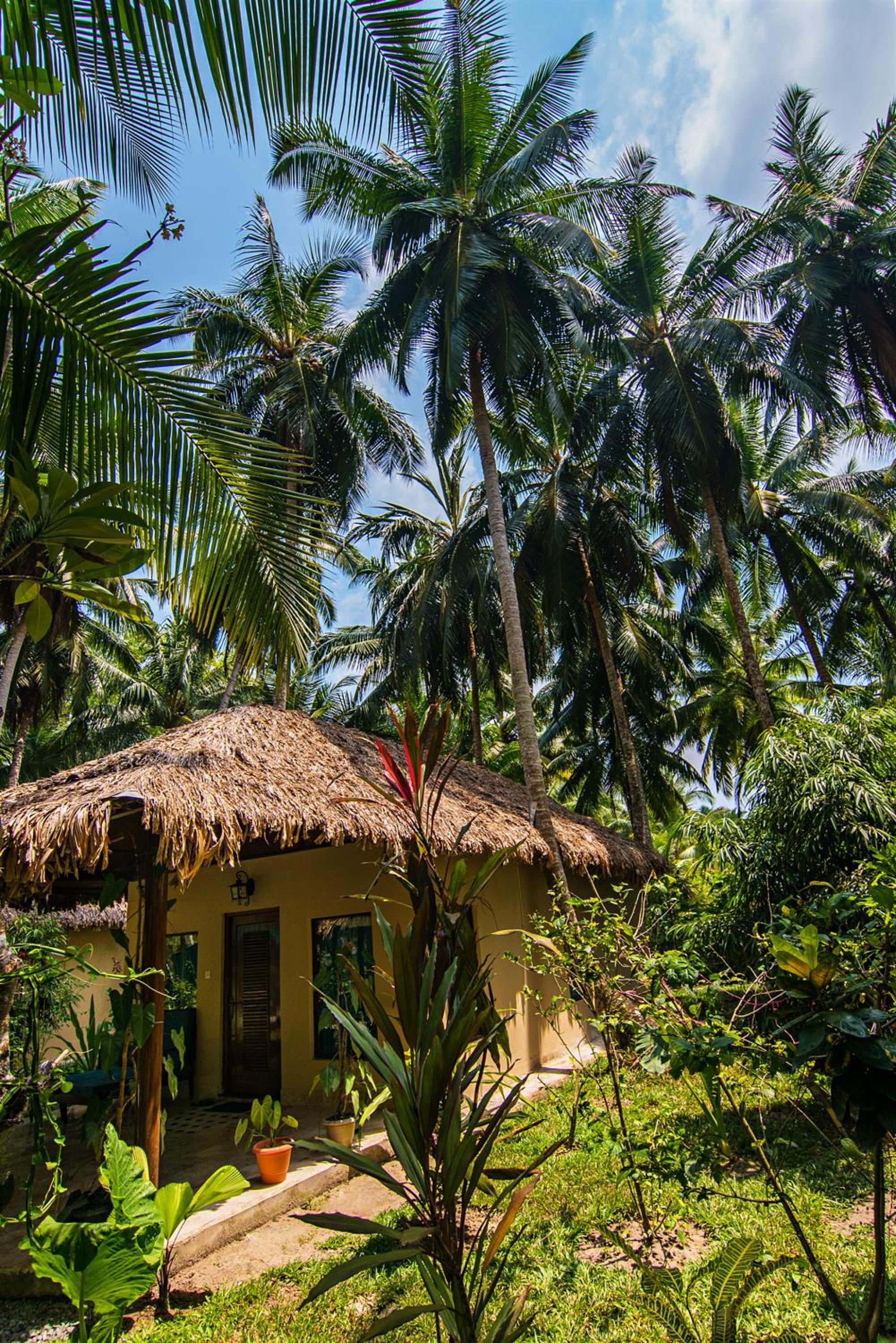 Munjoh Ocean Resort - Private Beachfront Luxury Retreat in Havelock