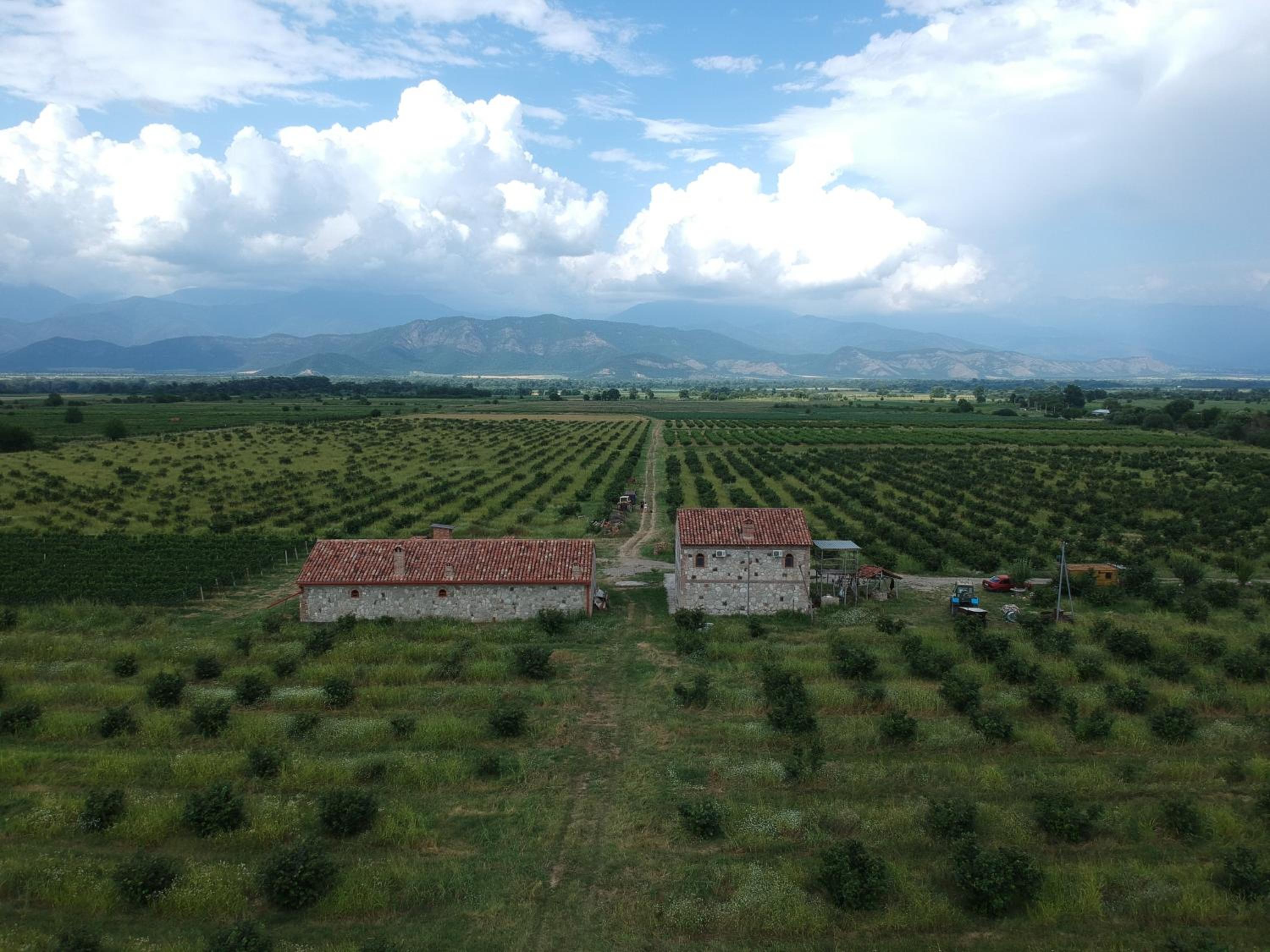 Mestvireni view 3