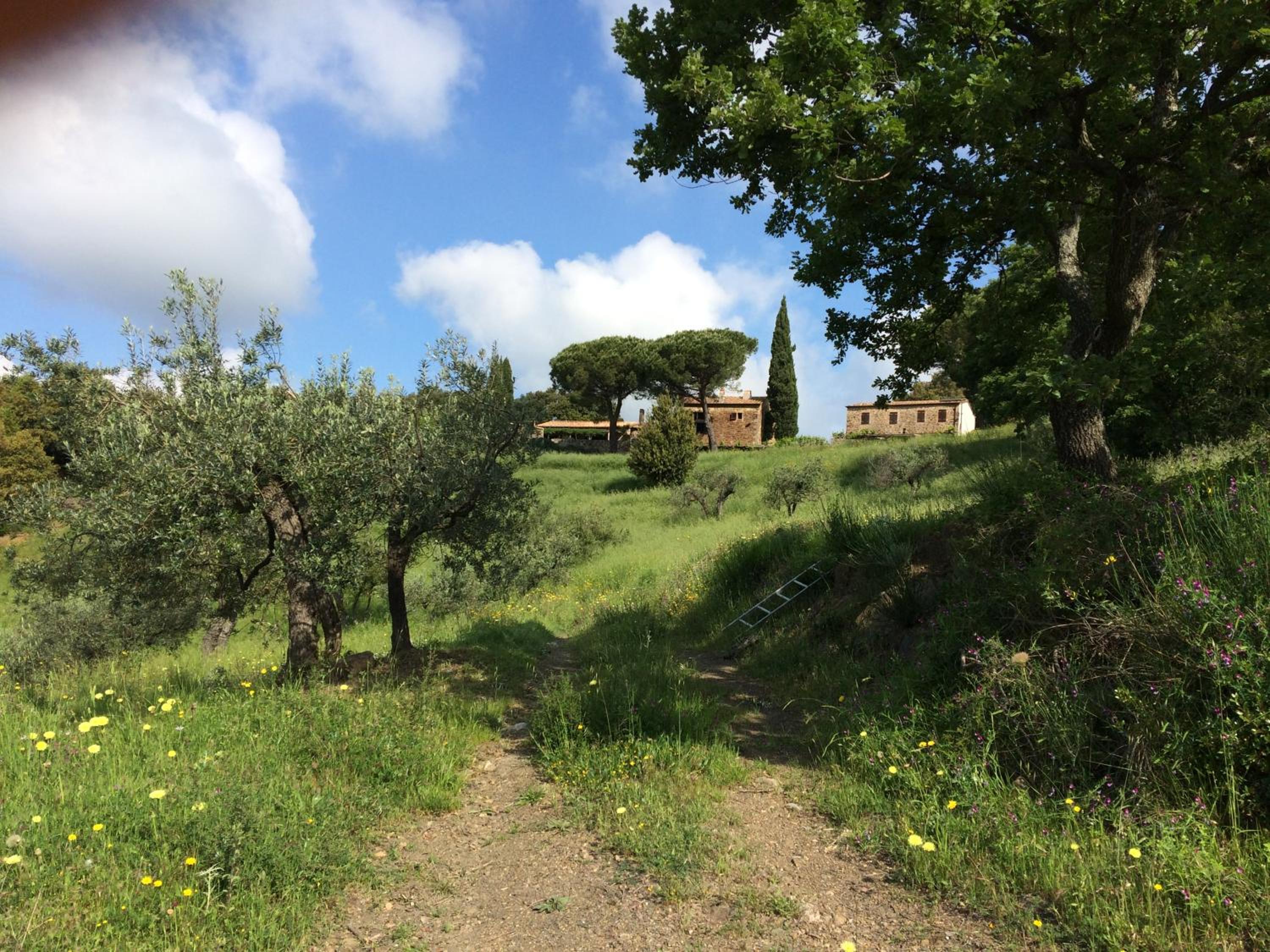 Photo 8