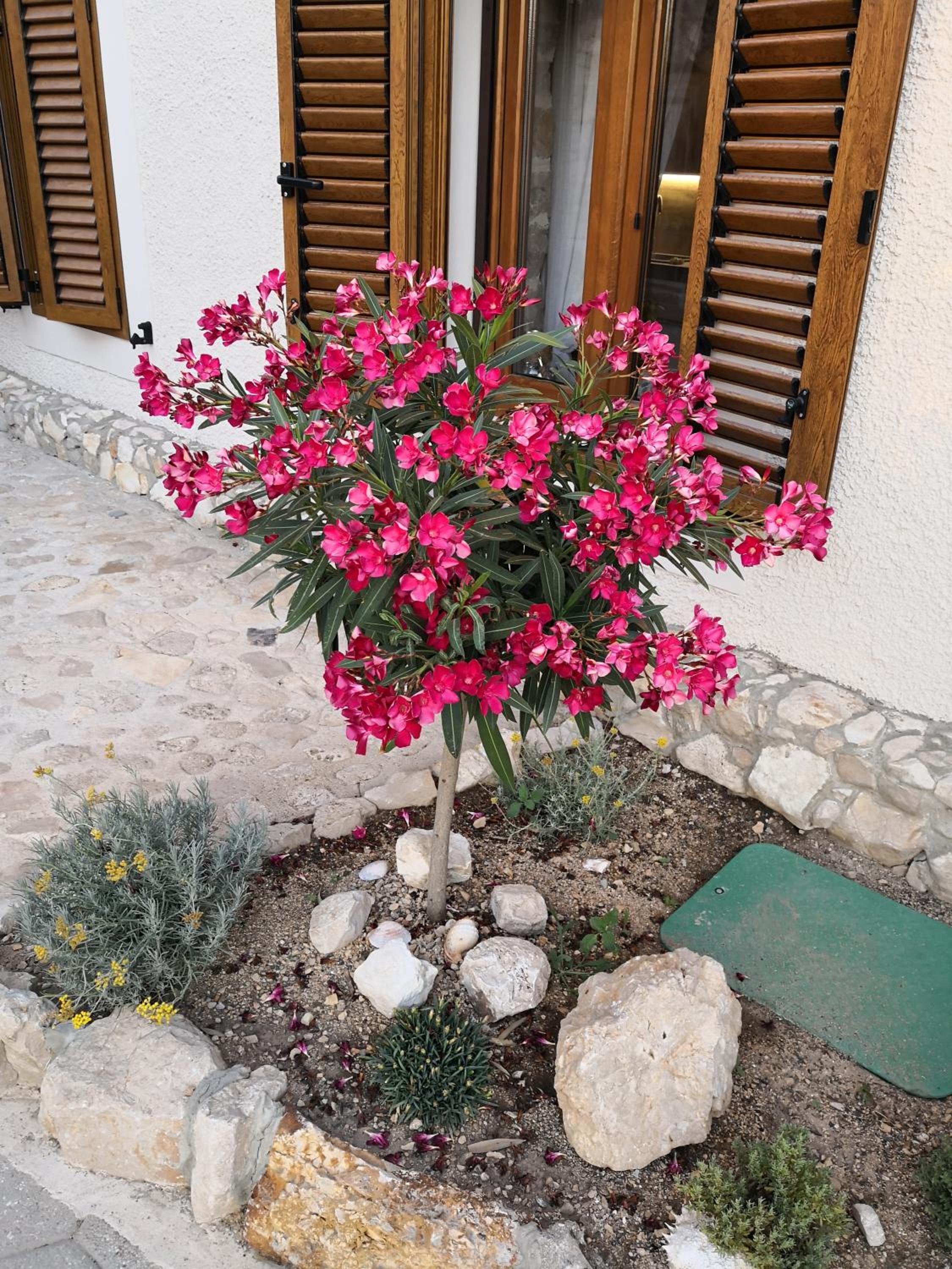 Photo 24