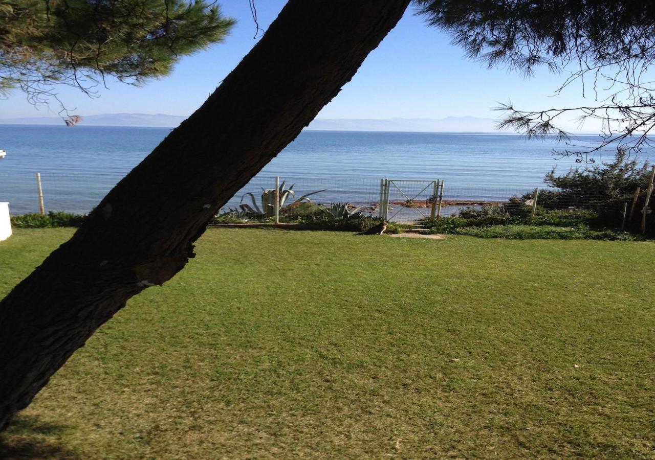 Open & Swim House view 2