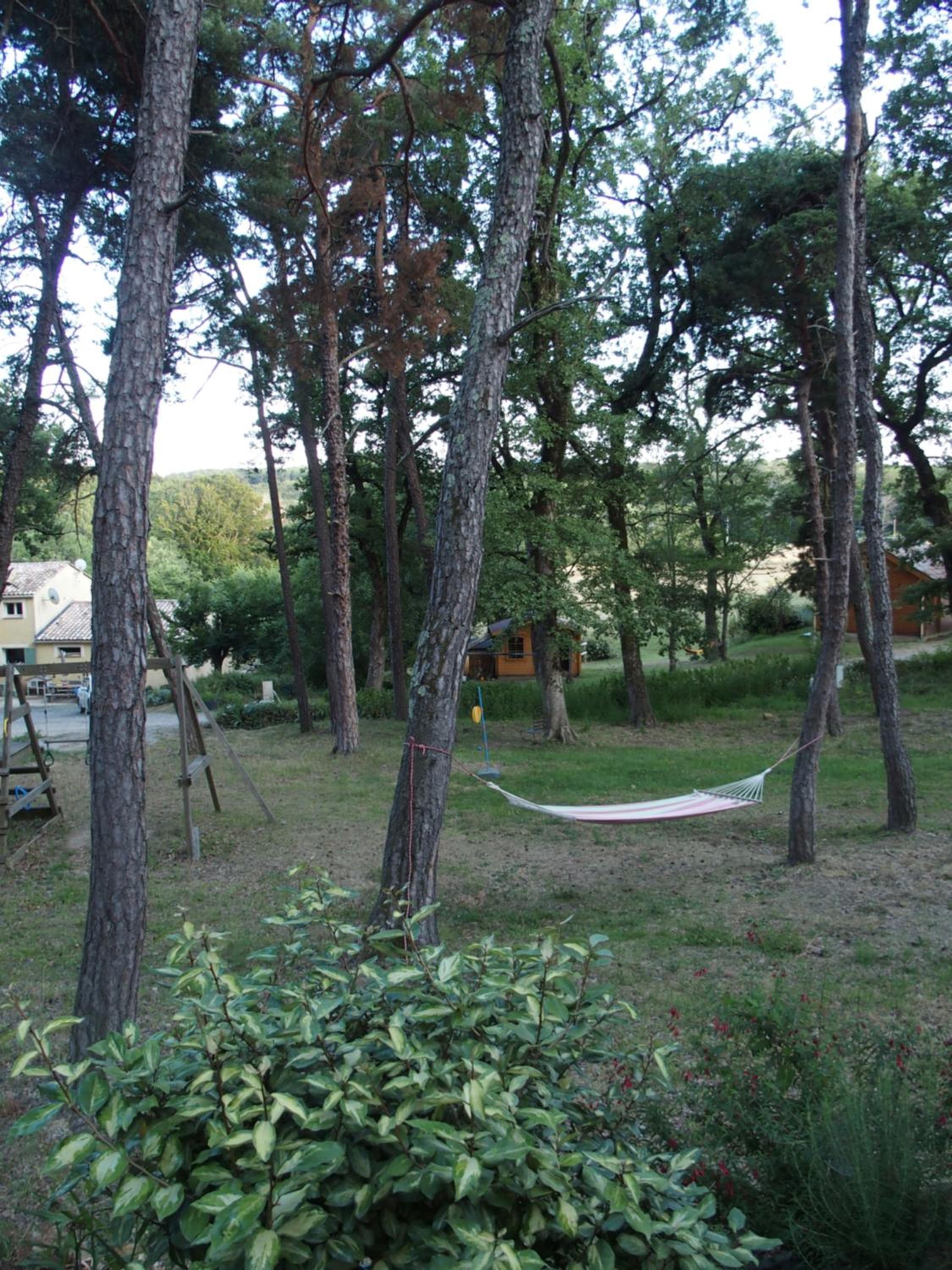 Photo 50