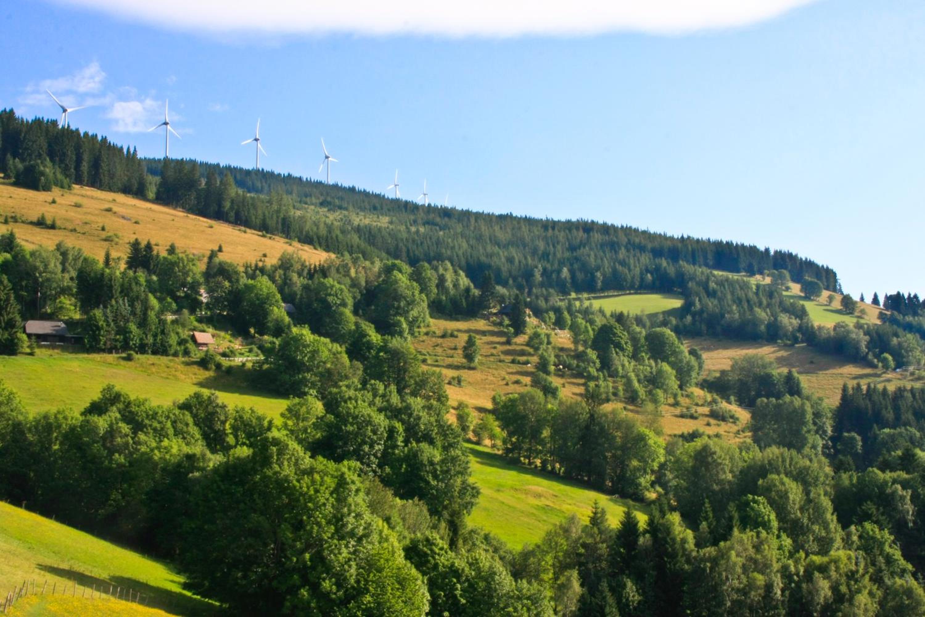 Genussgasthof Willenshofer view 5