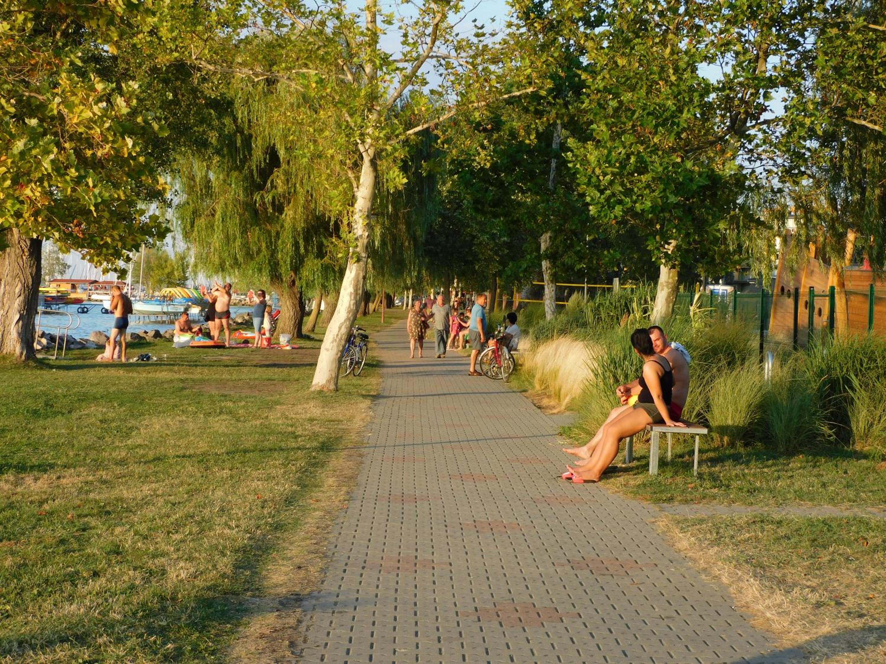 Photo 29