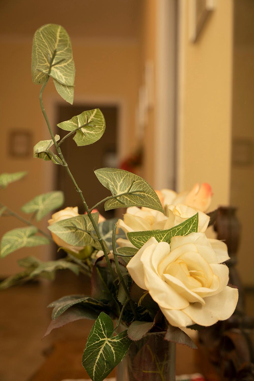 Casa Abba photo 5