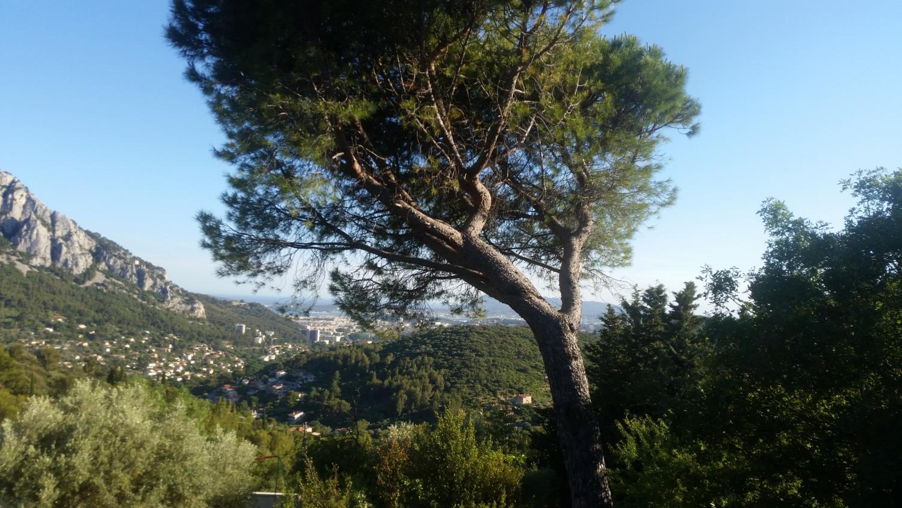 BIENVENUE, photo 8