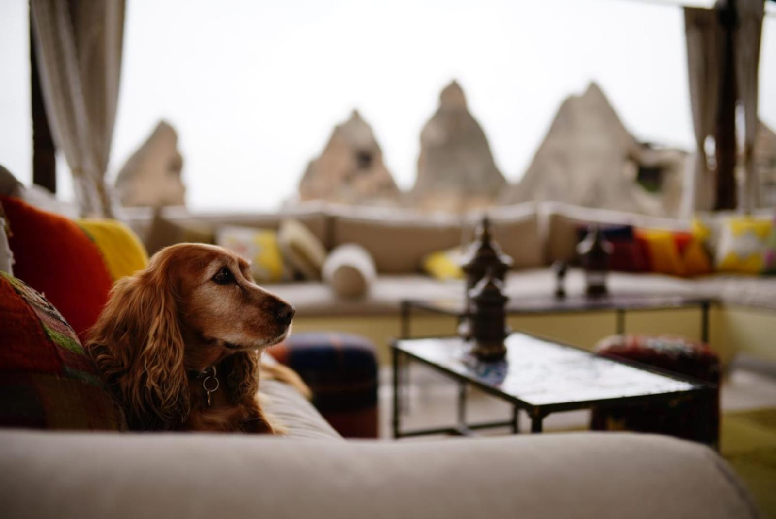 Artemis Cave Suites & Spa- Adults Only - Image 6