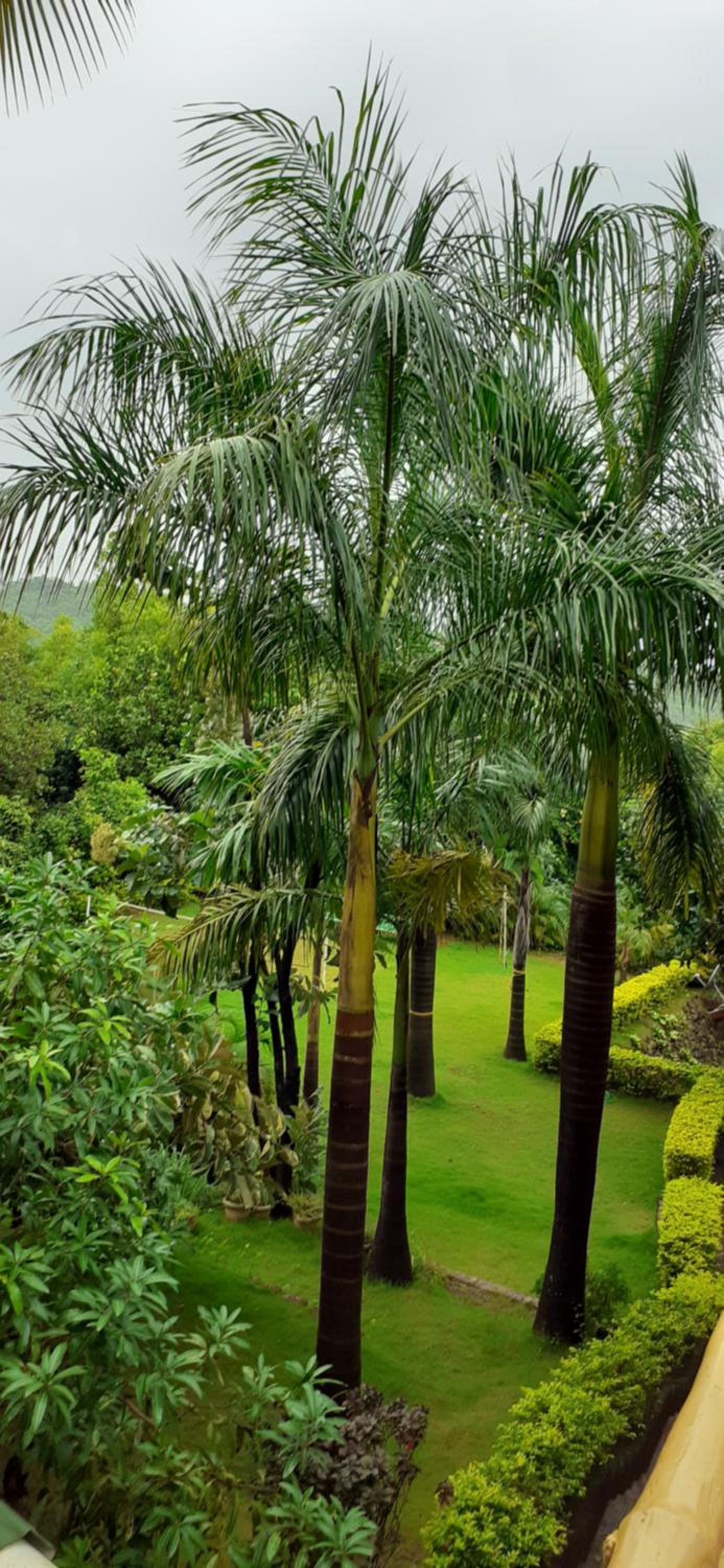 Kudle Beach View Resort And Spa Gokarna