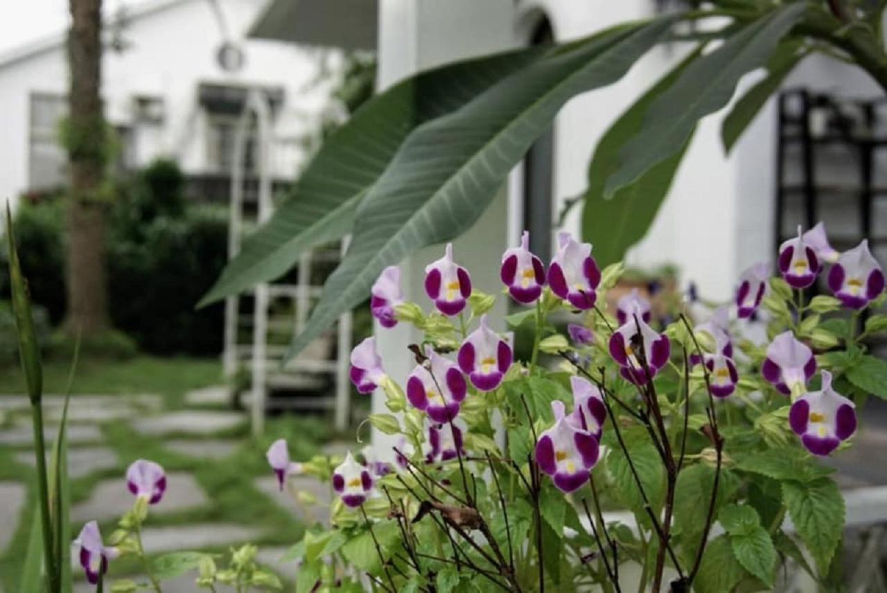 Hasayaki Homestay