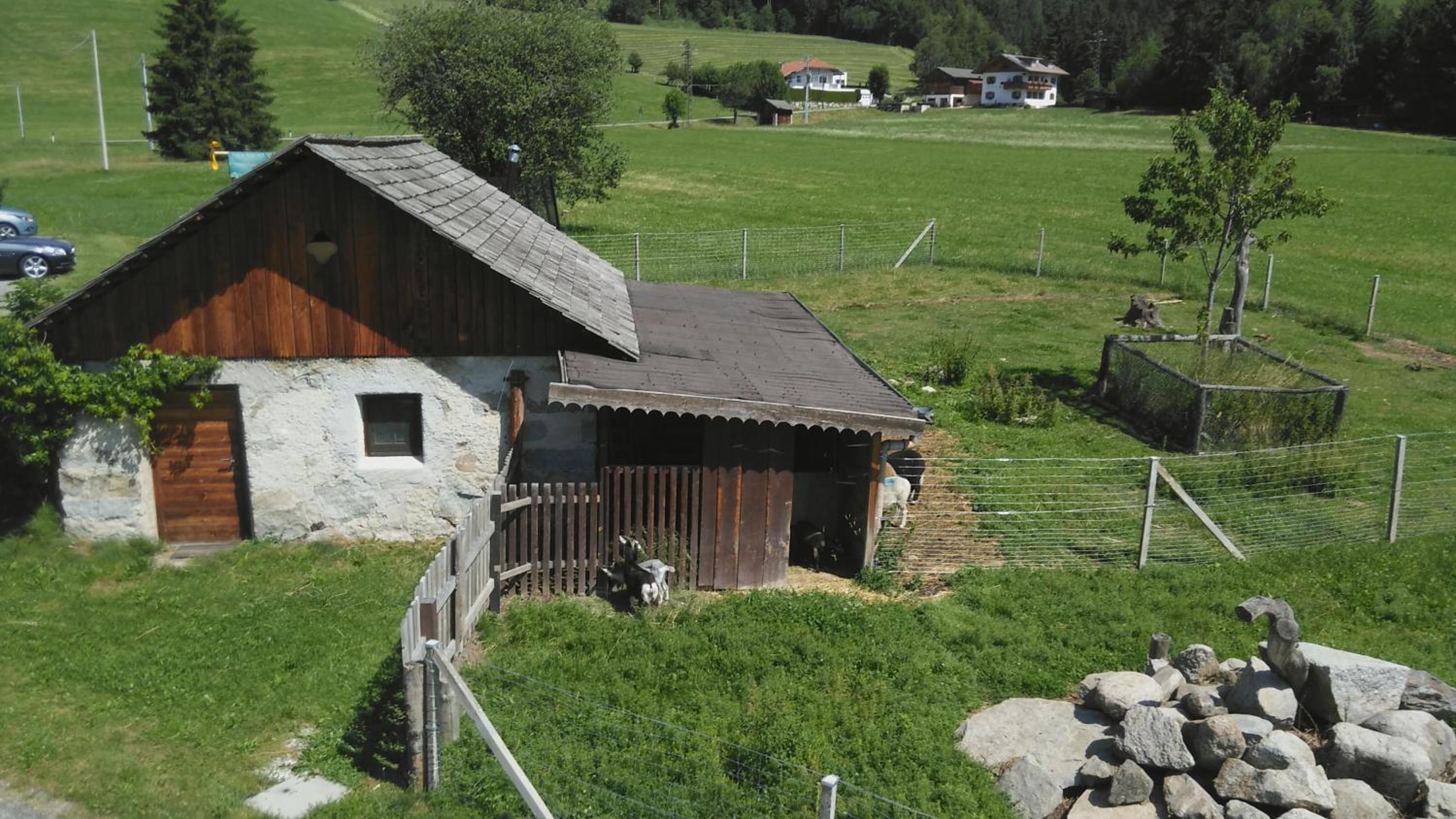Photo 43