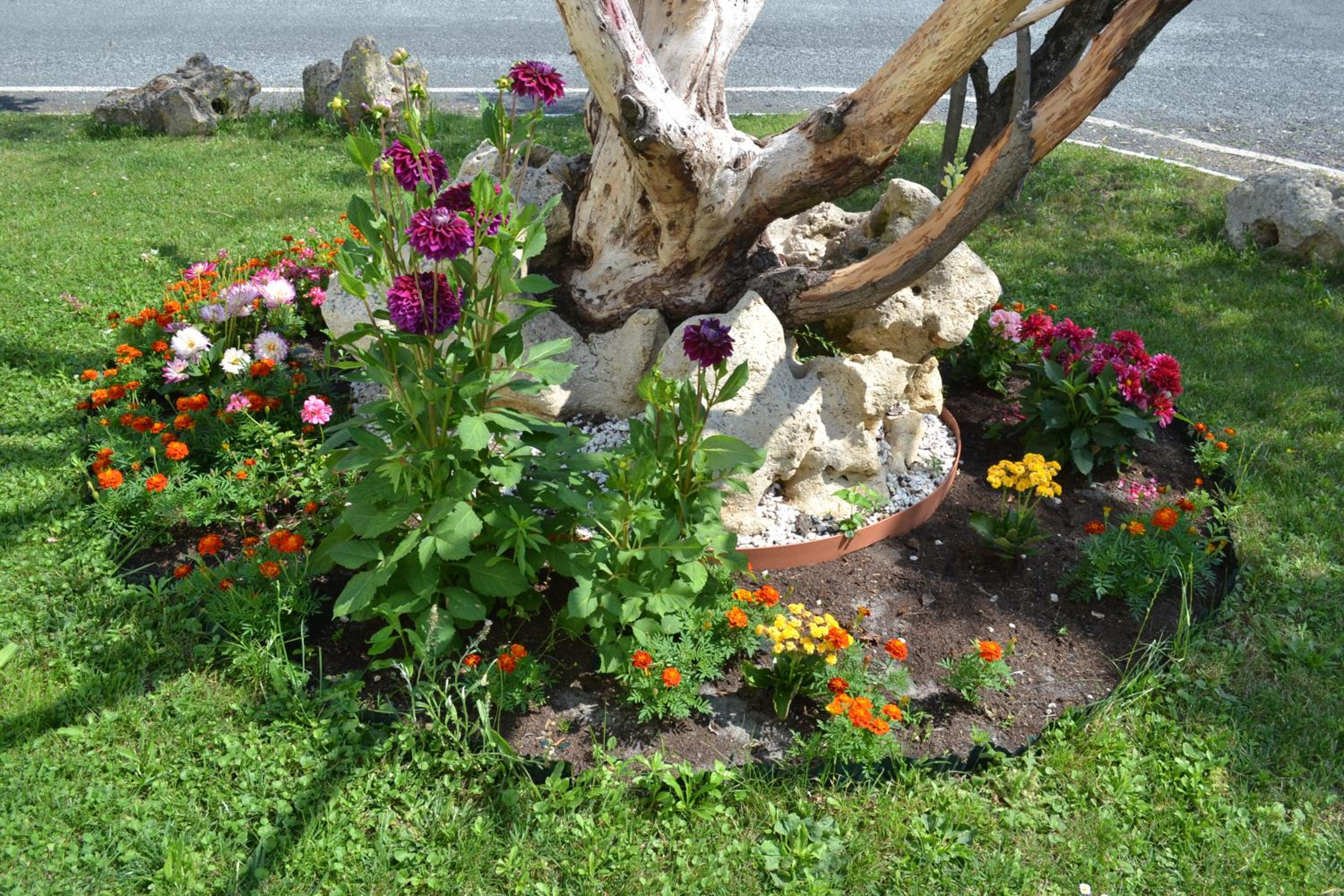garden