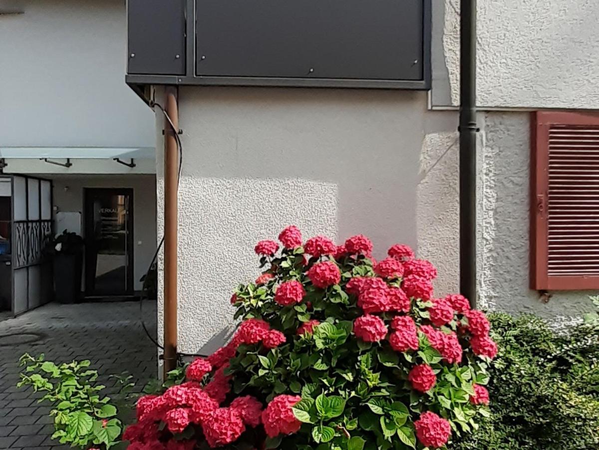 Ferienwohnung im Fischerhäusle
