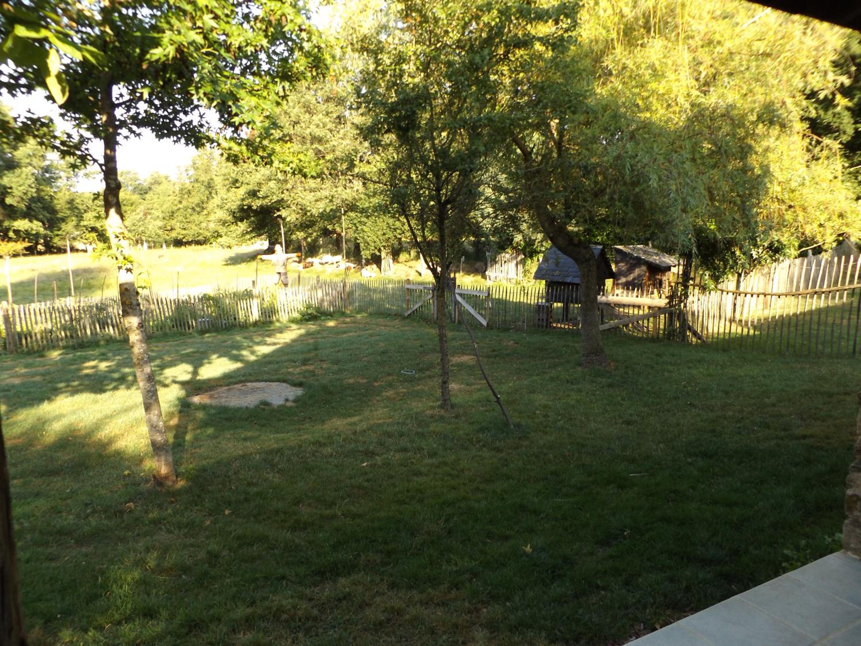 Photo 11