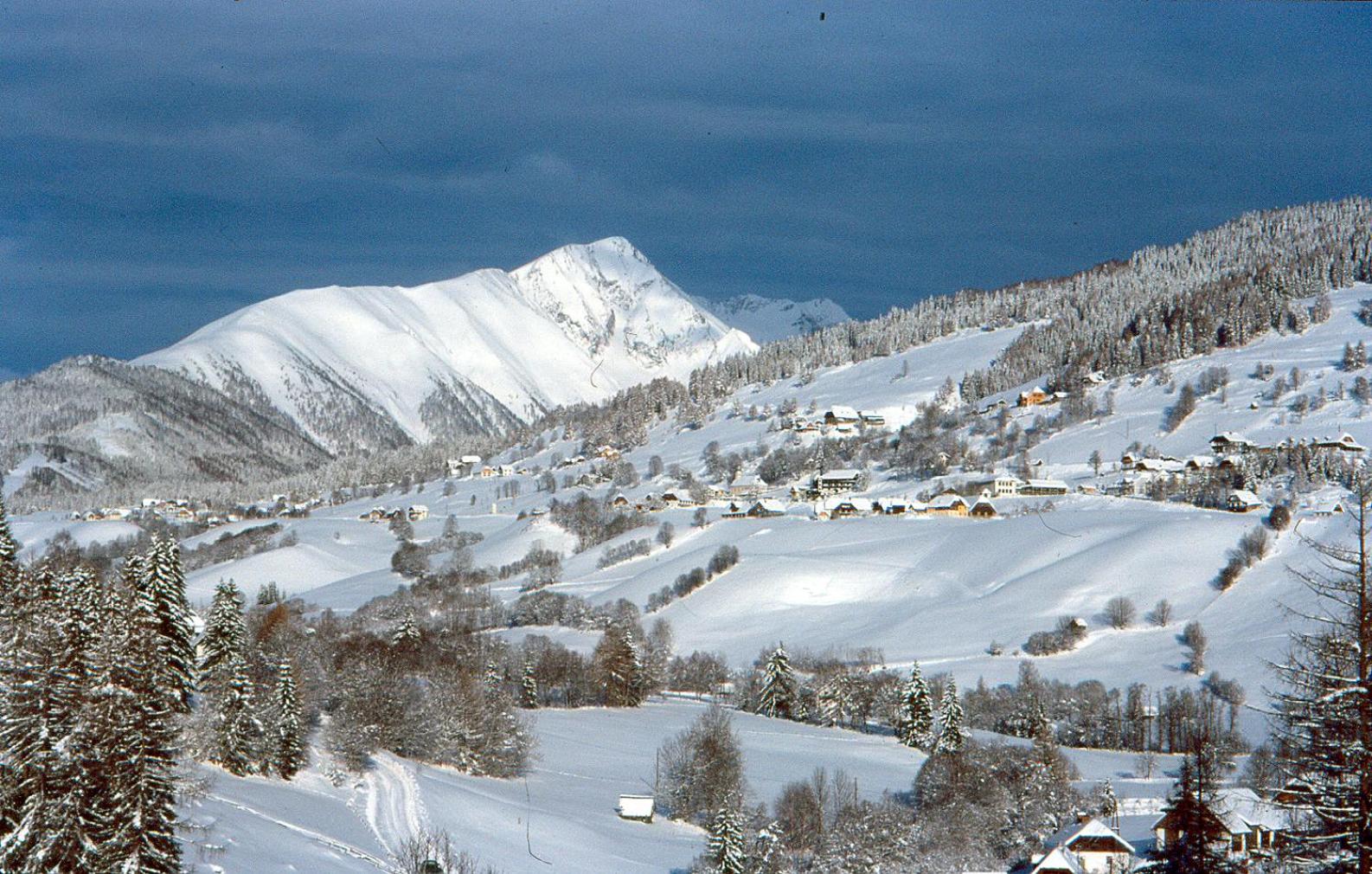 Feielhof