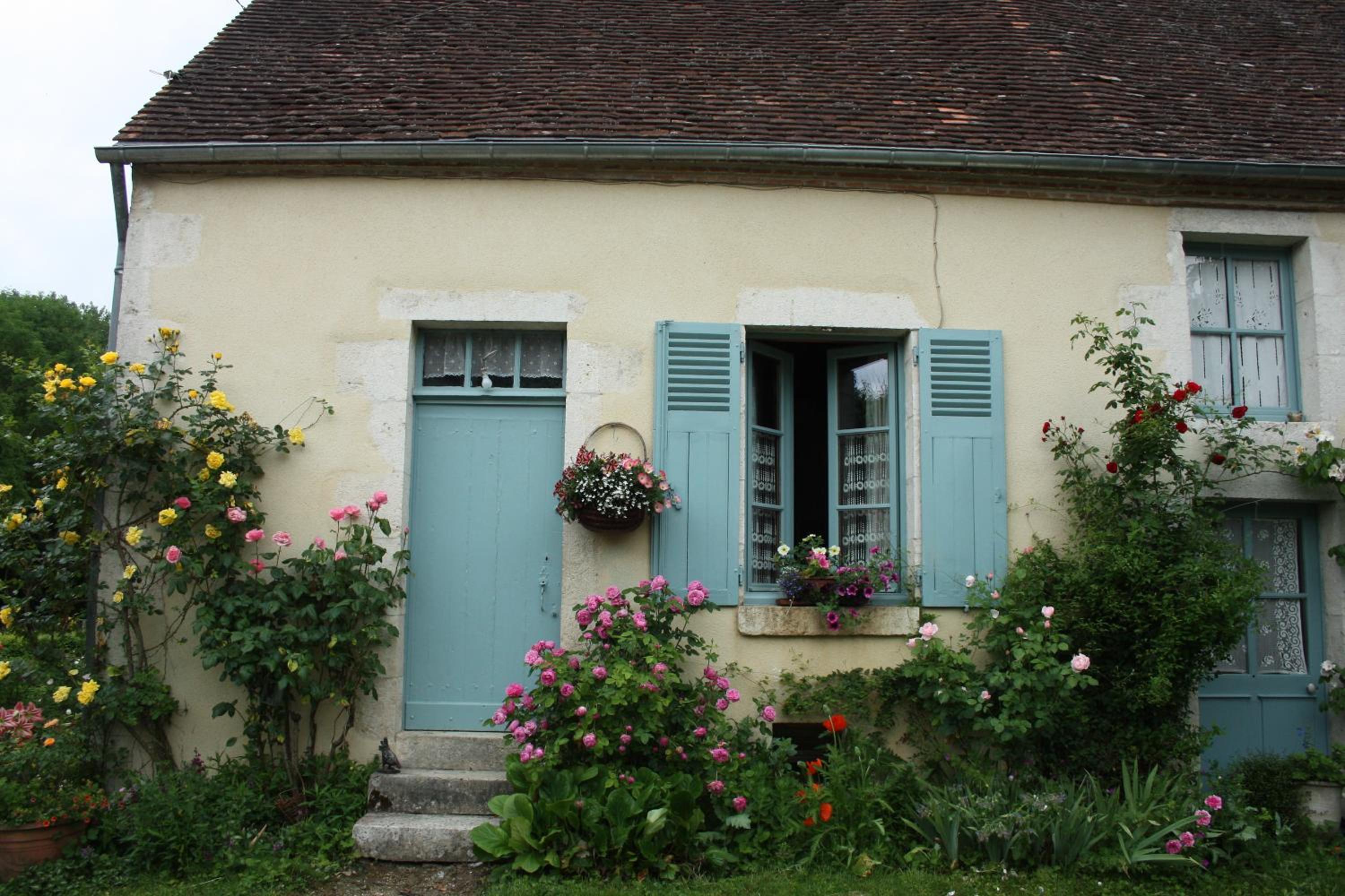 Photo 8