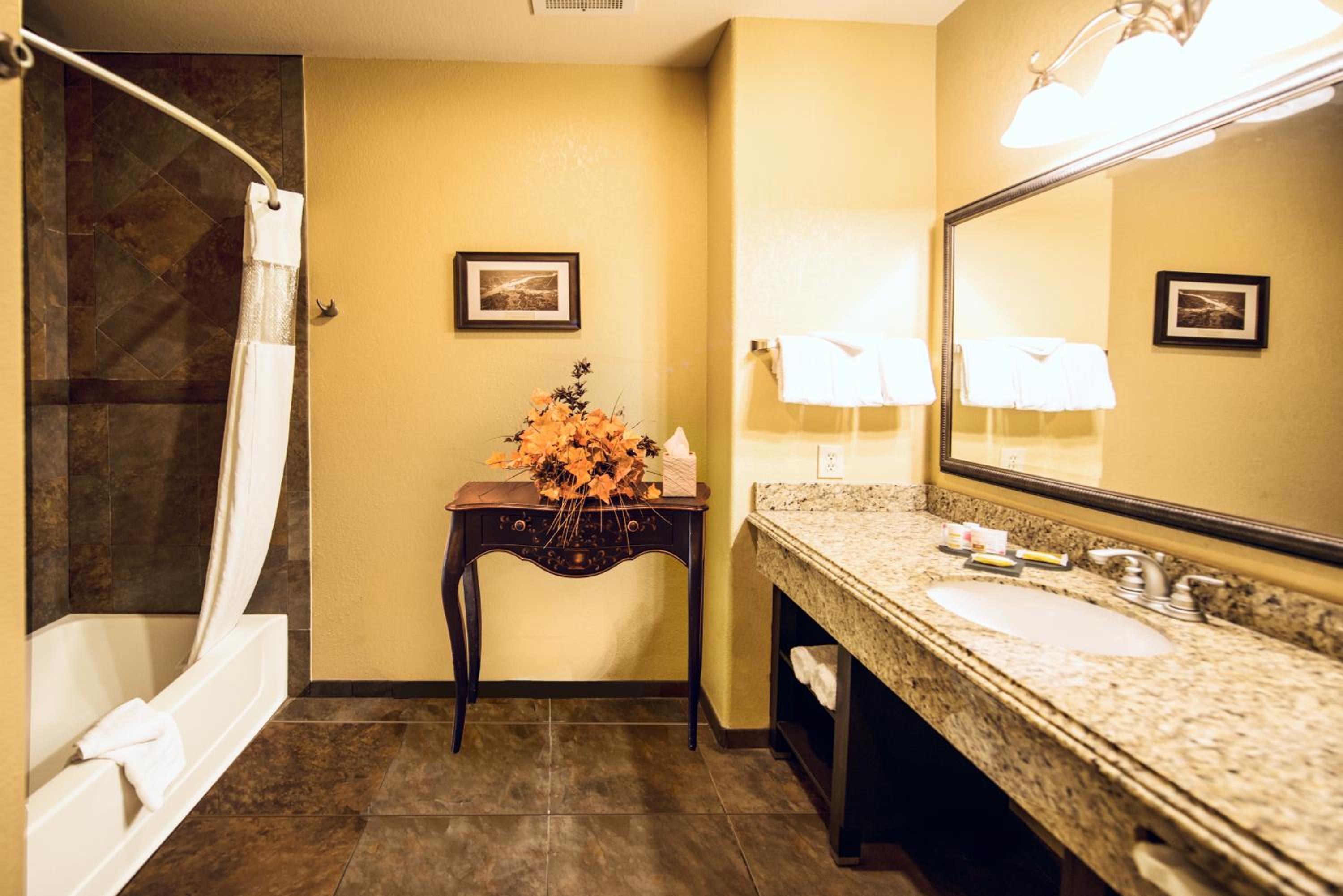 Marble Falls Vacations - La Quinta by Wyndham Marble Falls - Property Image 105