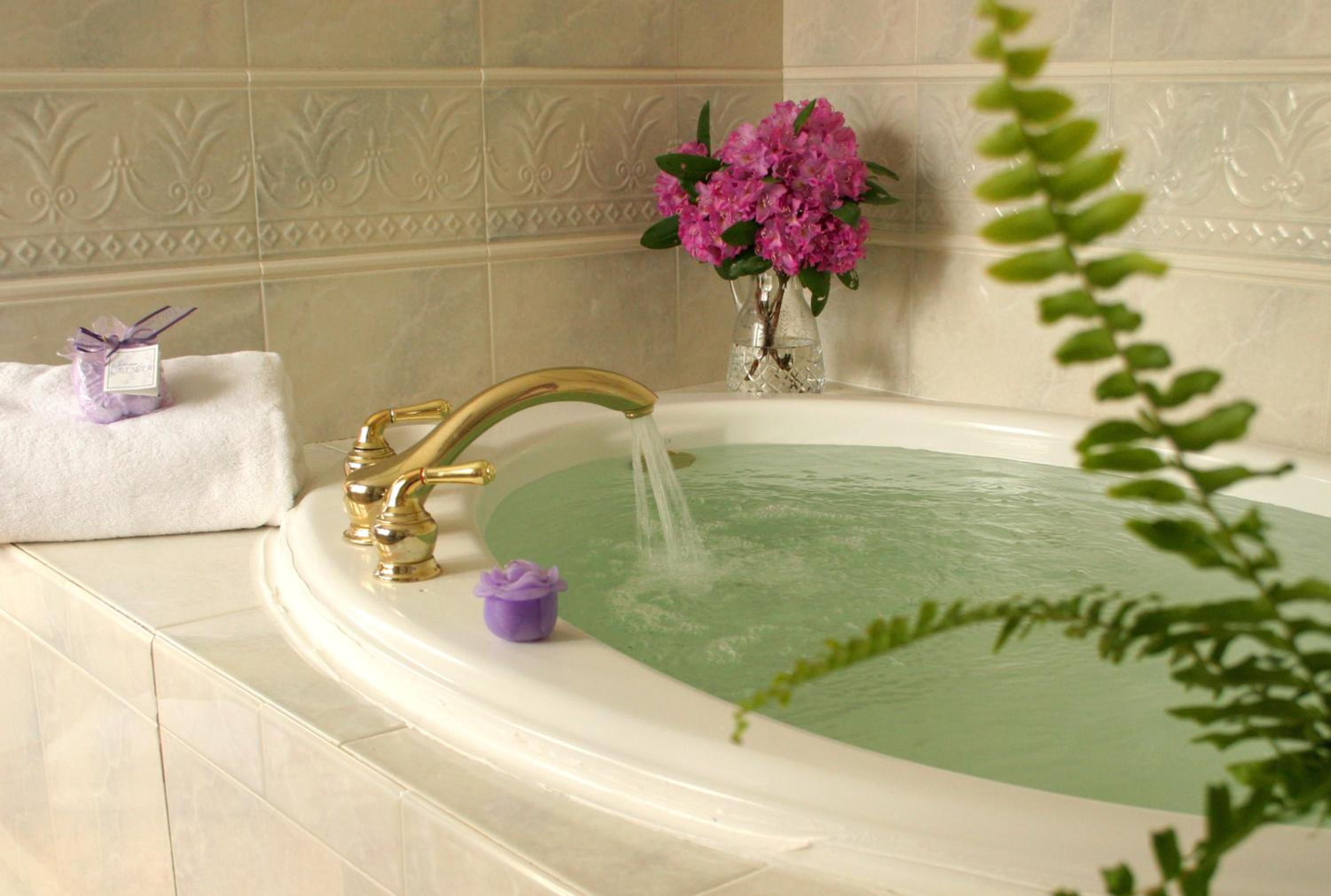 White Doe Inn Bed & Breakfast