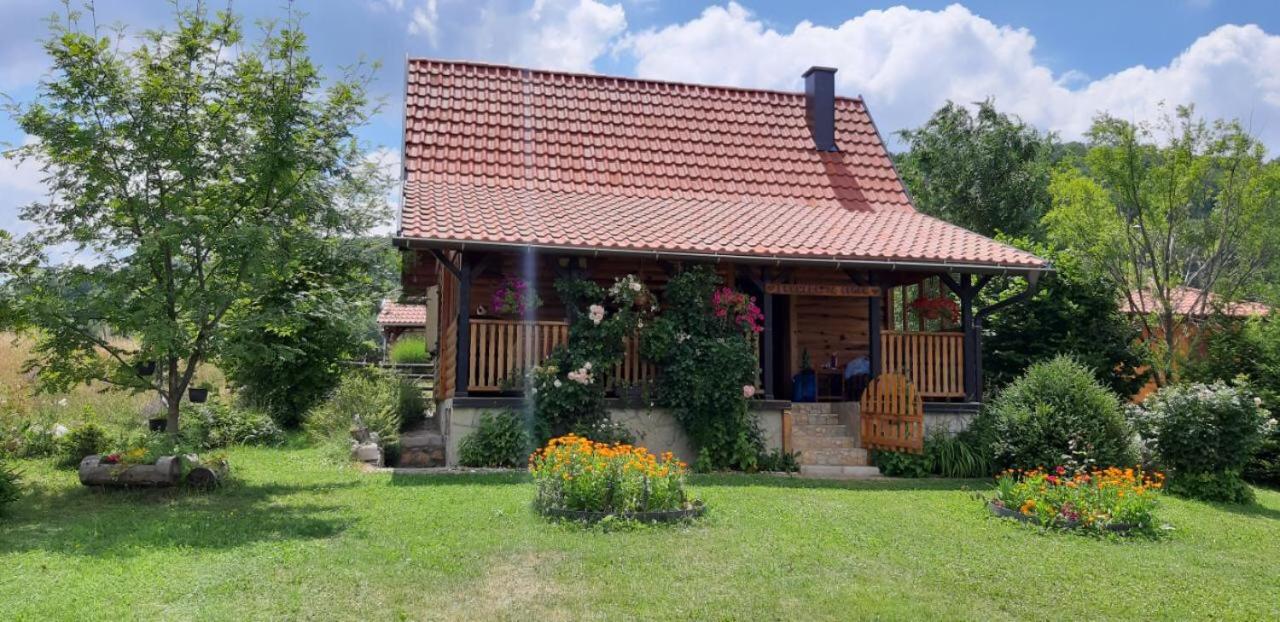 Brvnara za odmor Tara view 3