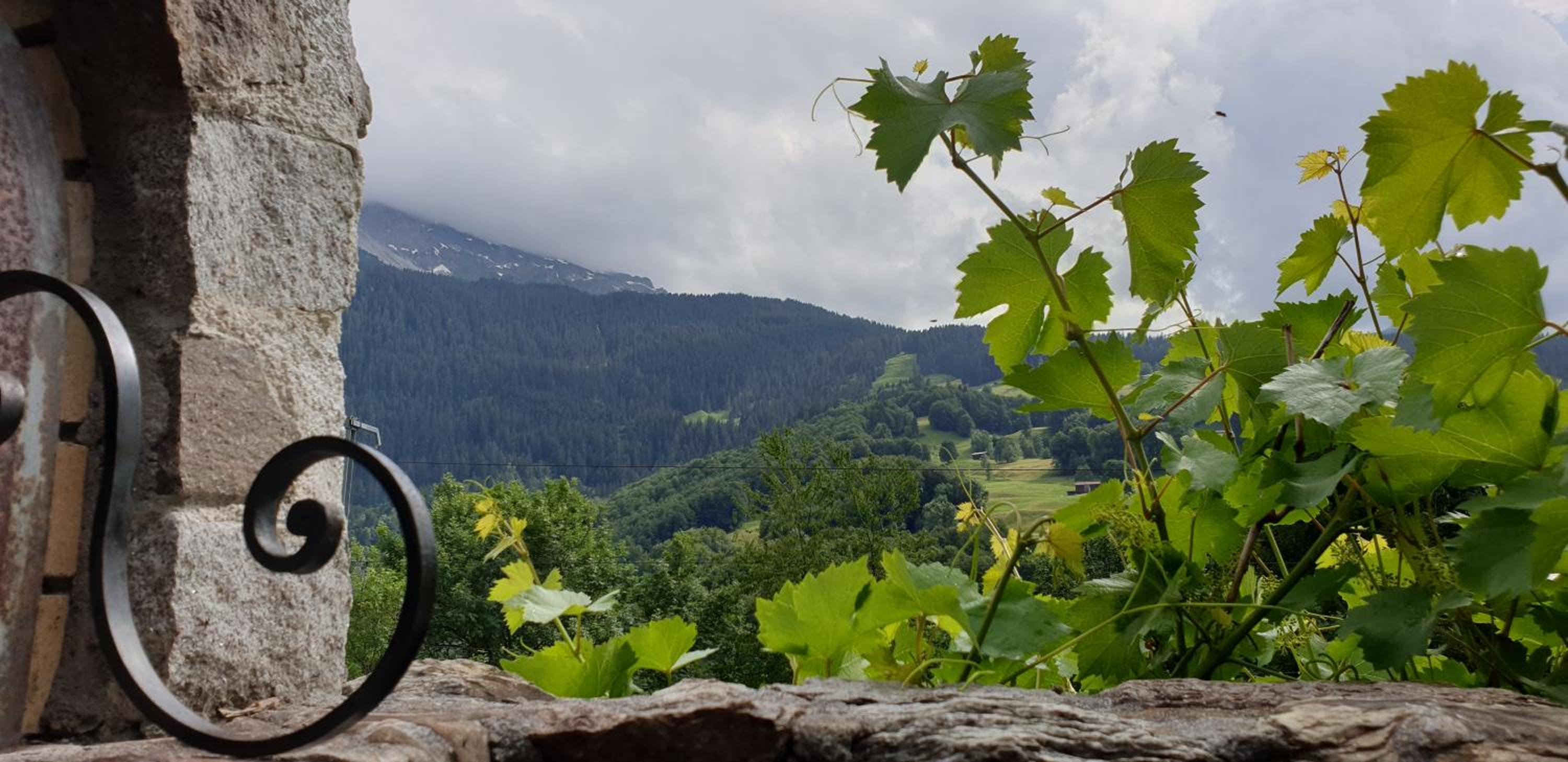 Ferienhaus & Ferienwohnung Wiñay Wayna Gotschna Blick Klosters