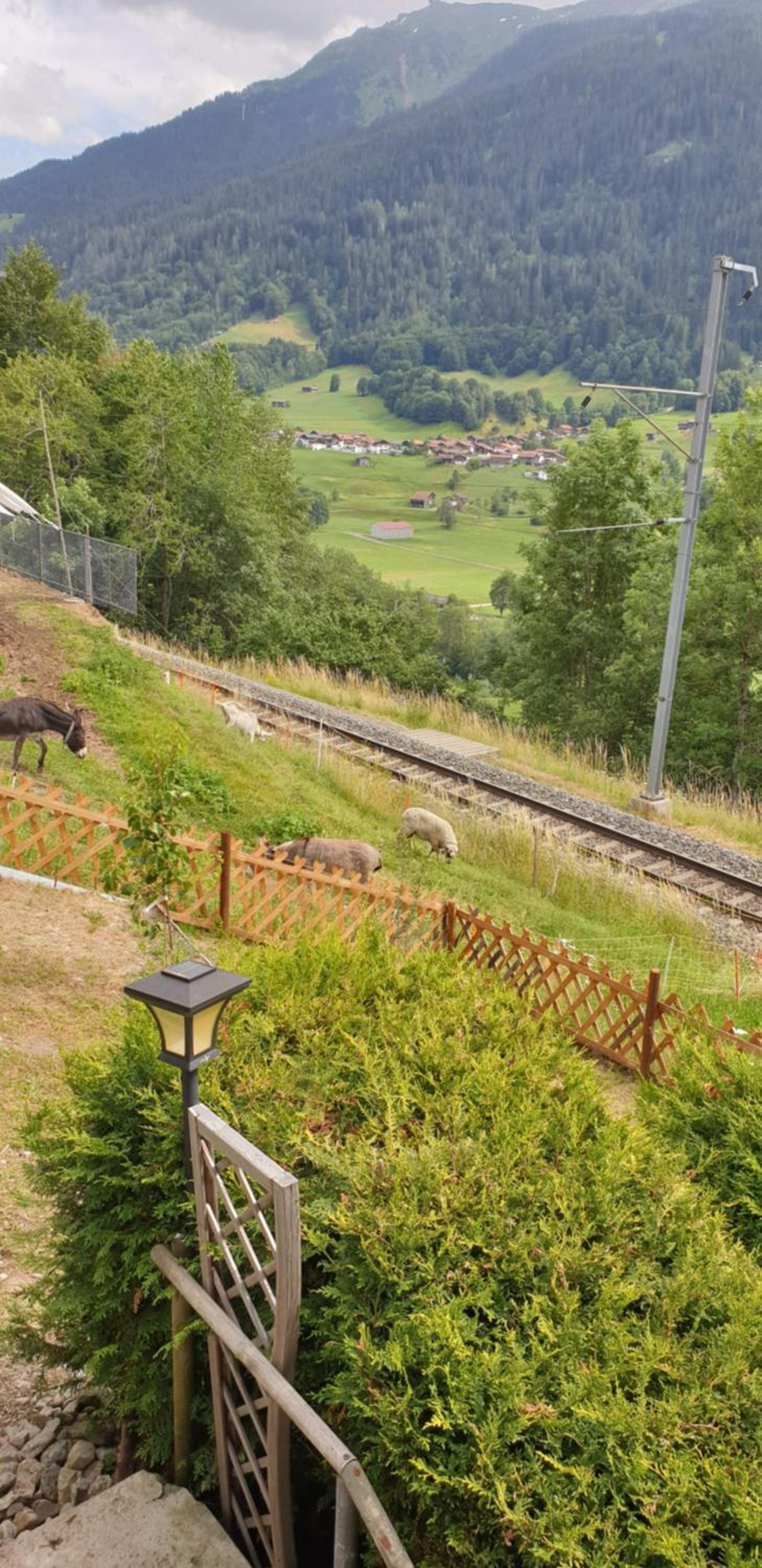 Ferienhaus & Ferienwohnung Wiñay Wayna Gotschna Blick Klosters