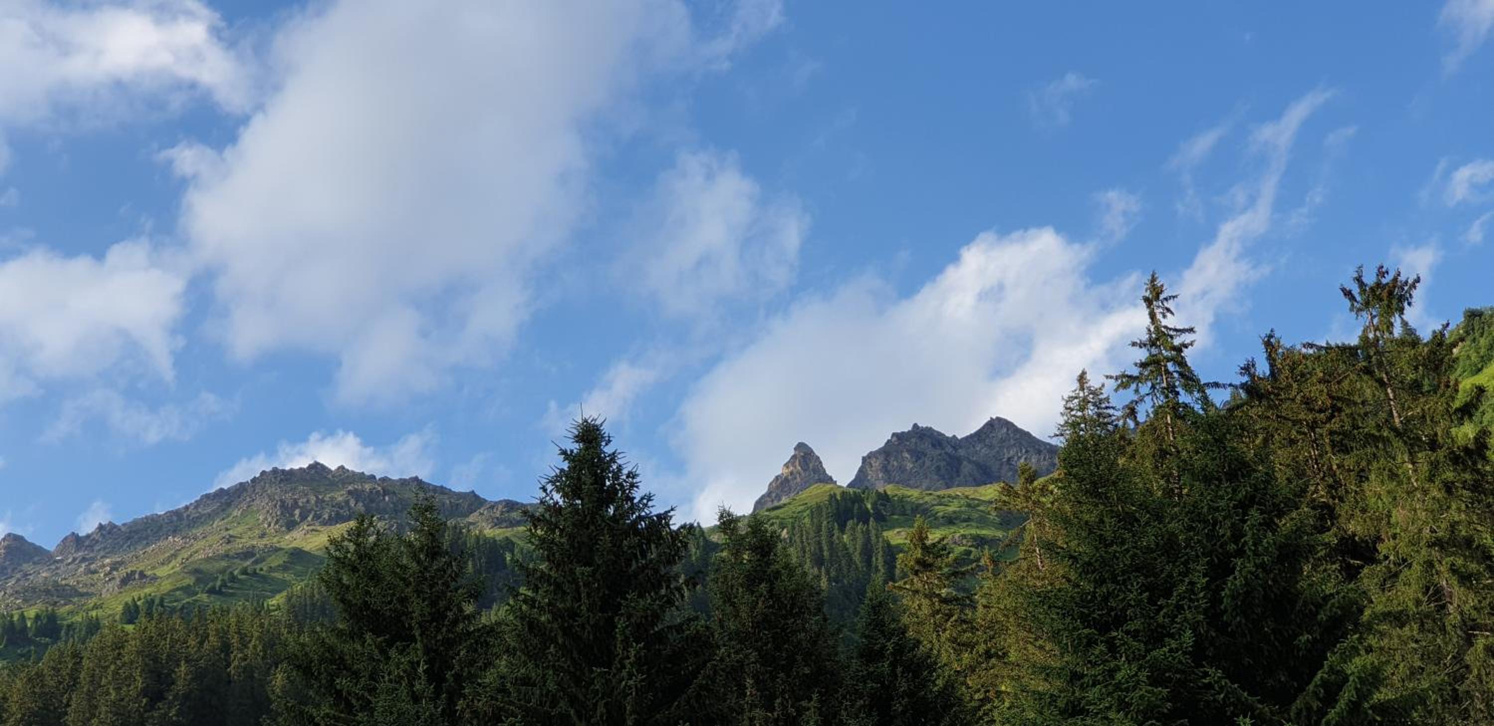 Ferienhaus & Ferienwohnung Wiñay Wayna Gotschna Blick Klosters