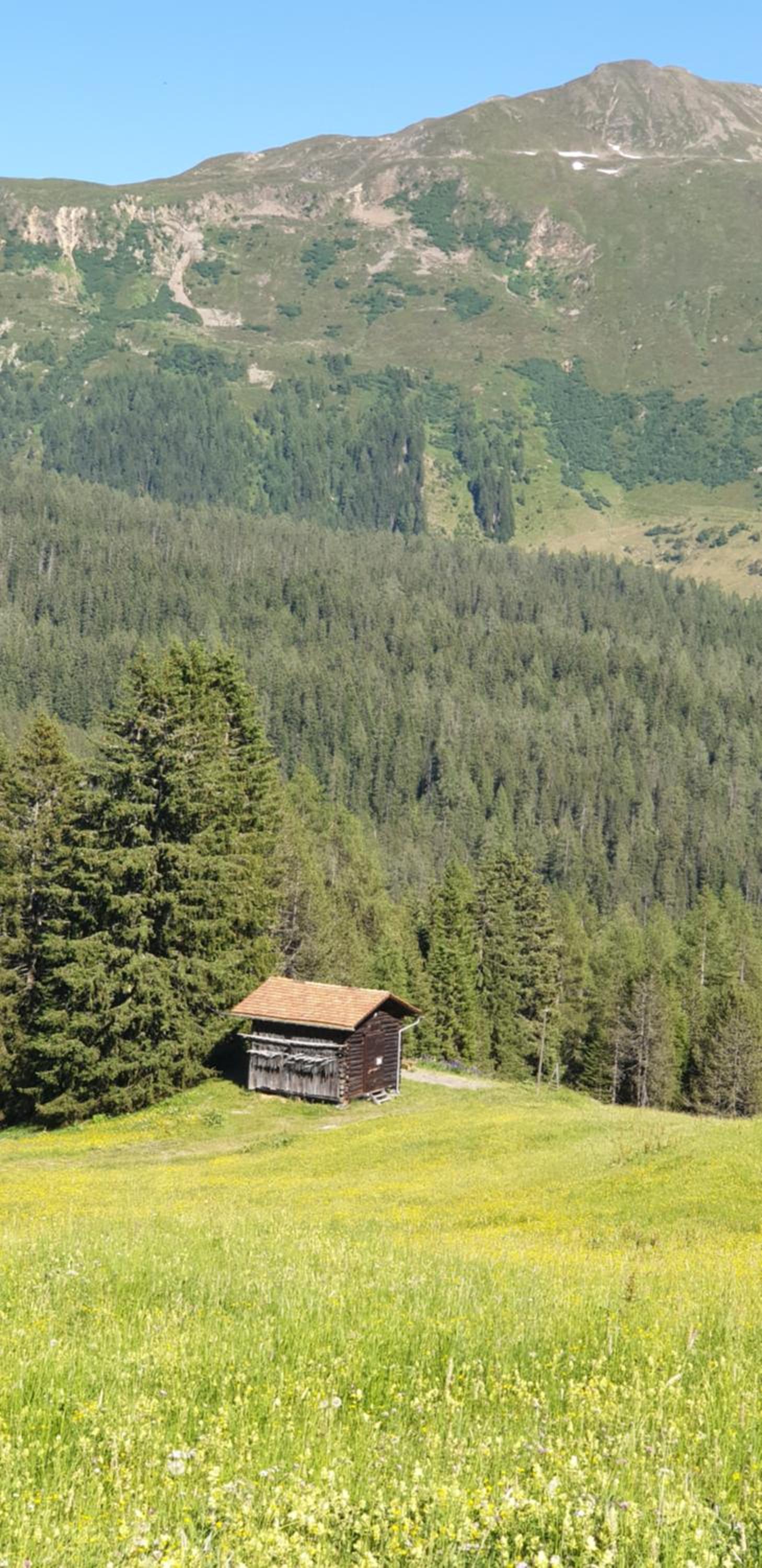 Ferienhaus & Ferienwohnung Wiñay Wayna Gotschna Blick Klosters