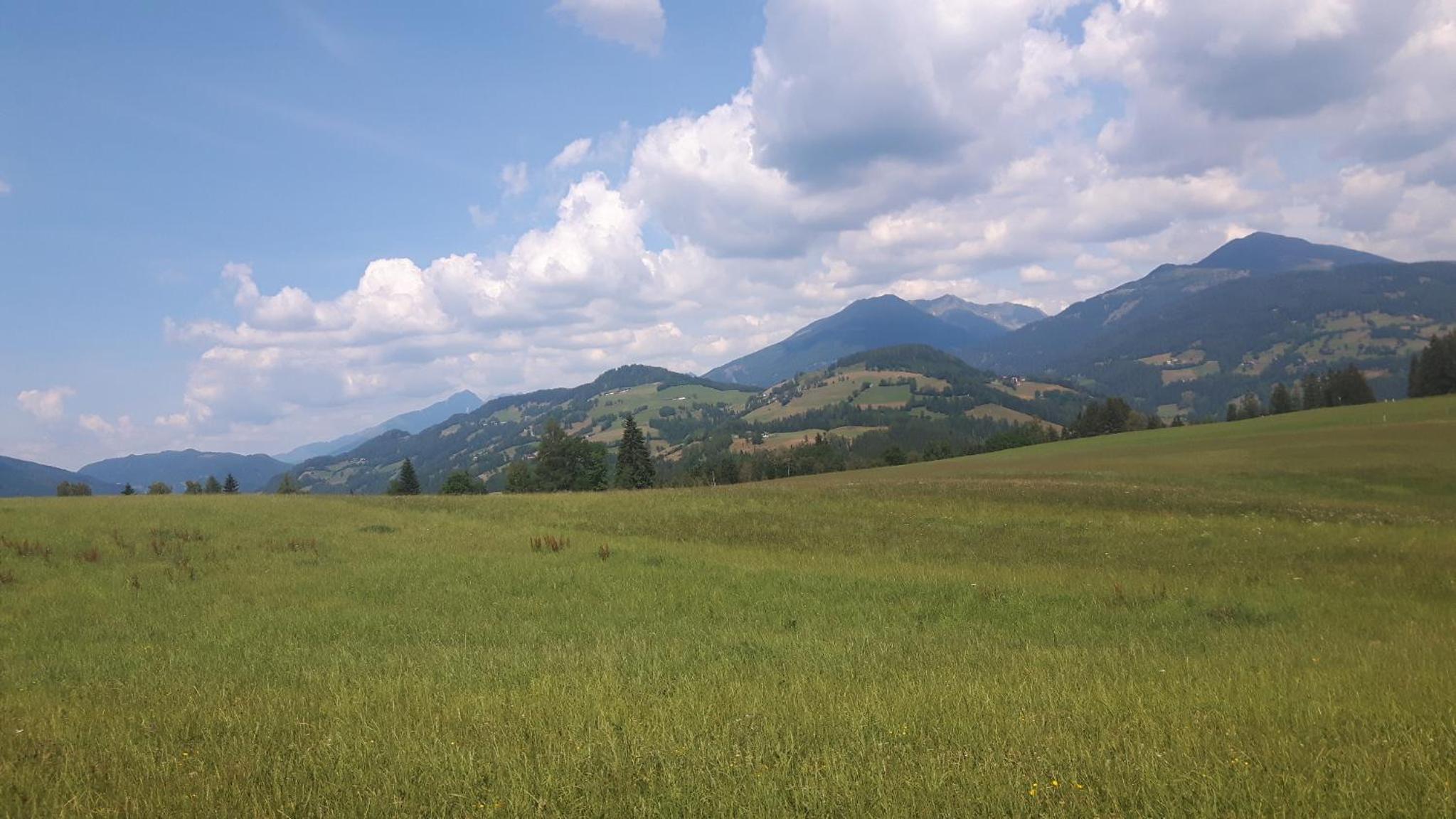 Ferienhütte Troadkostn