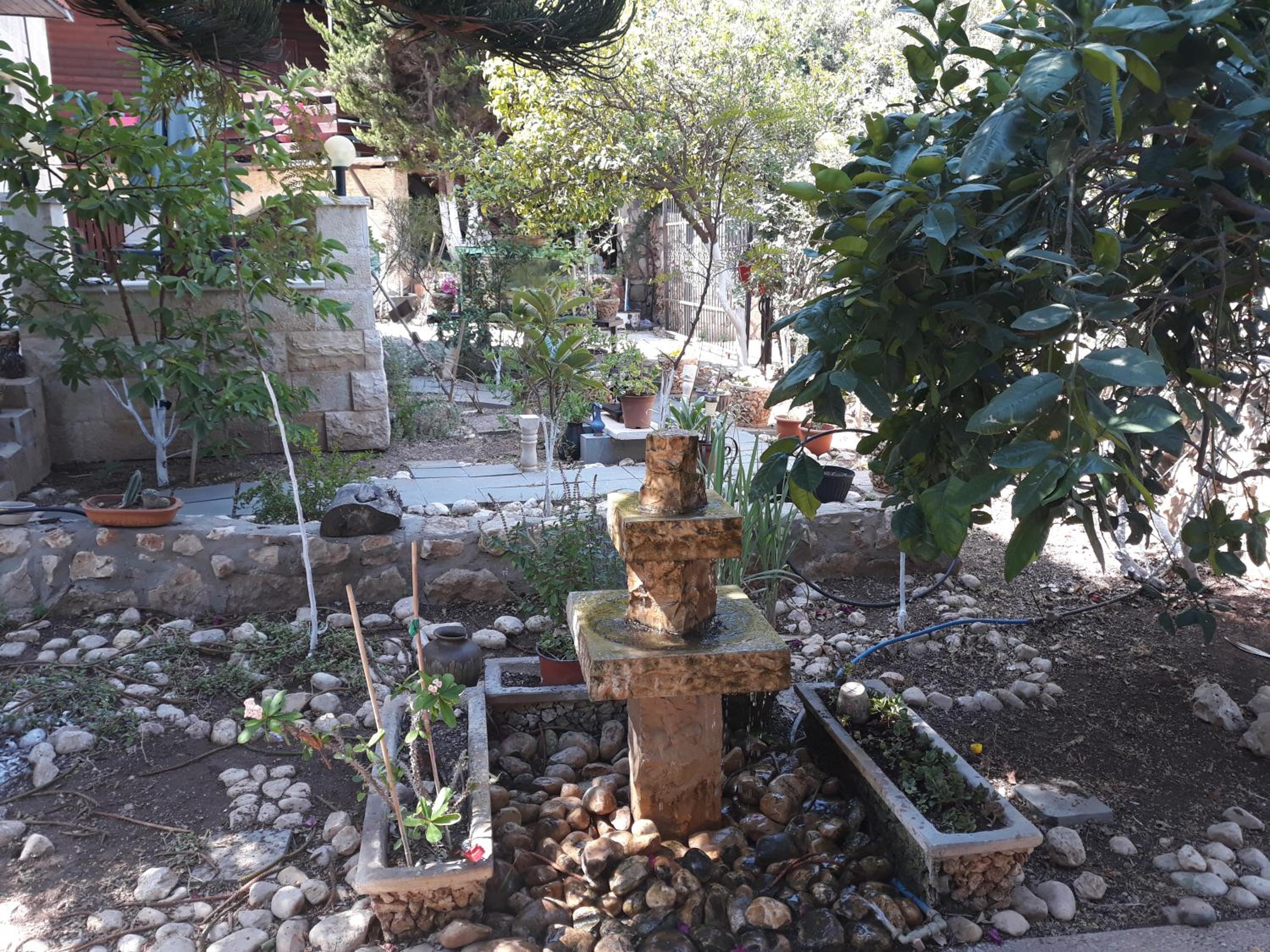 Tamer Guest house