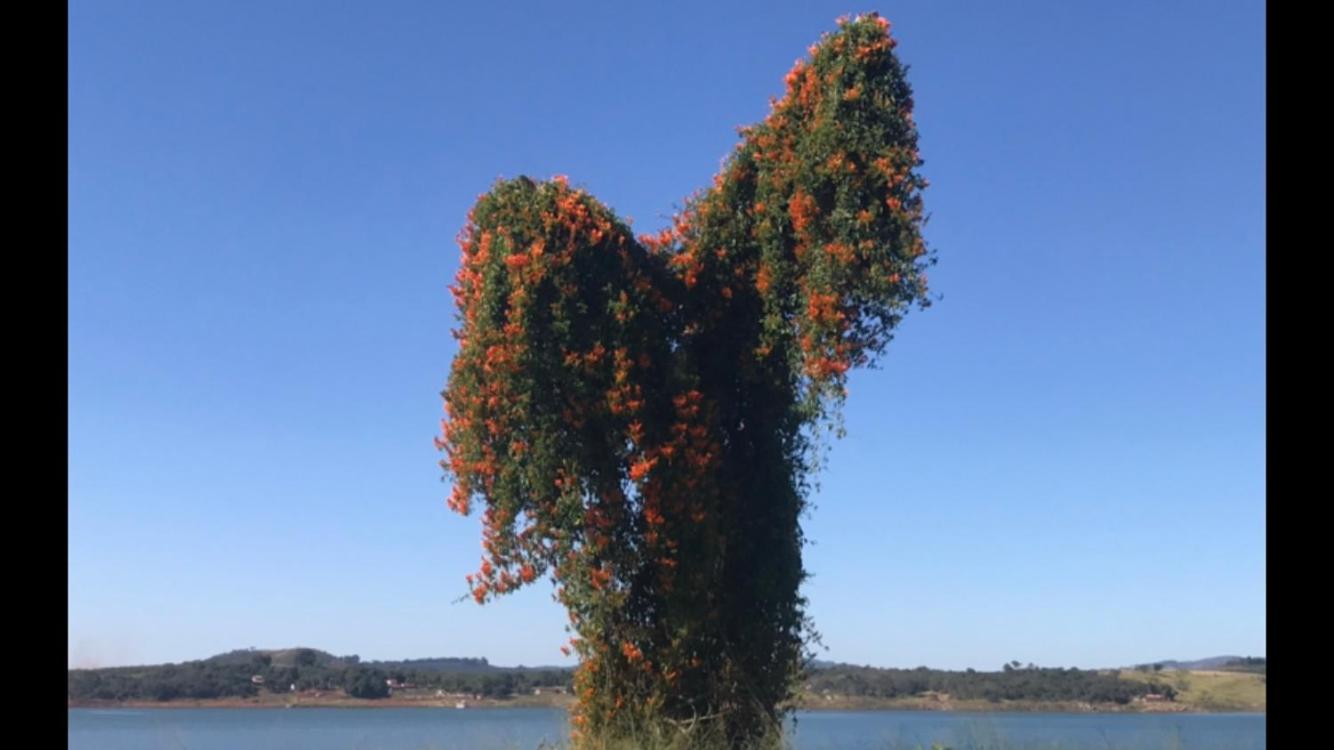 Casa de Campo às margens do lago de furnas