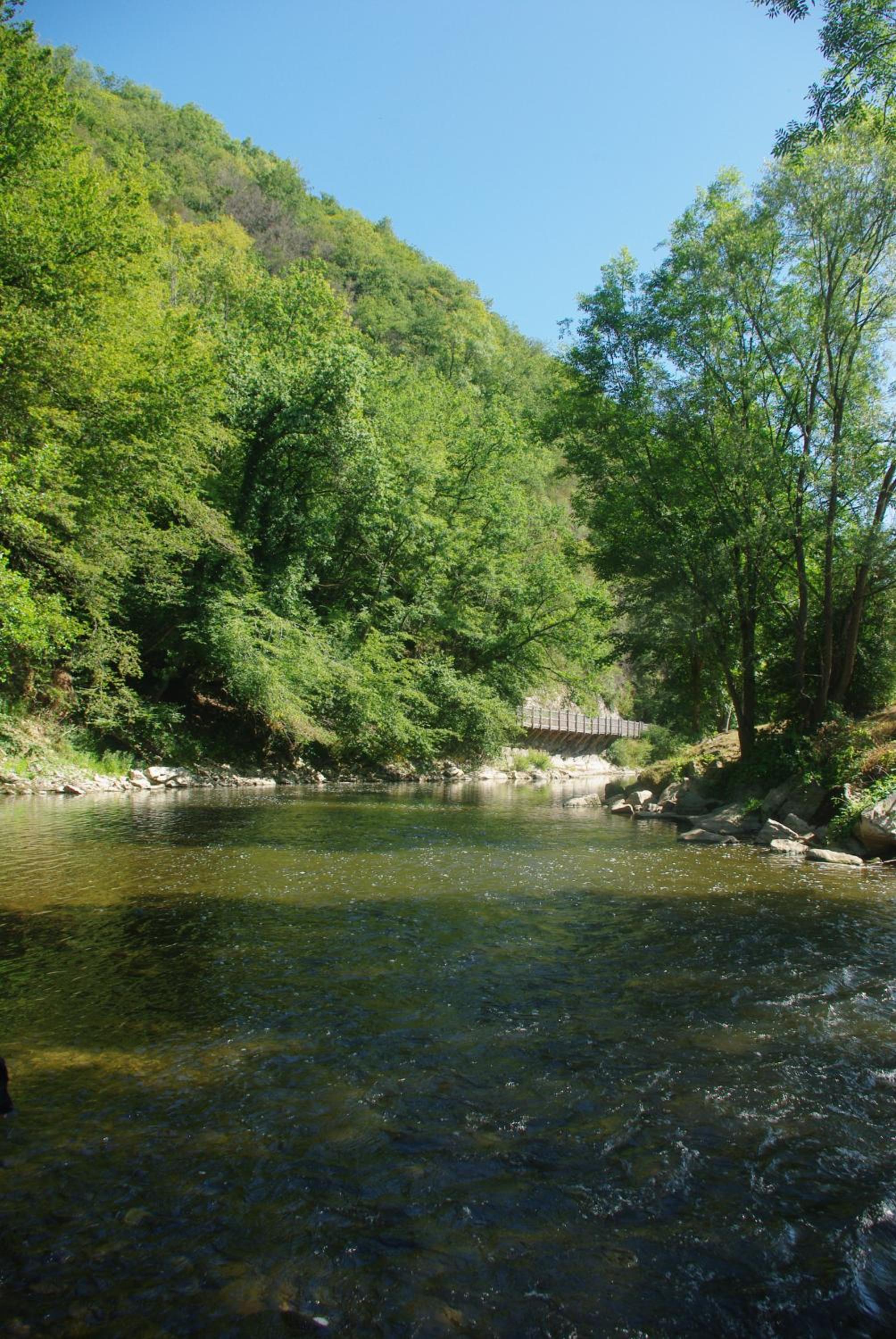 Photo 48
