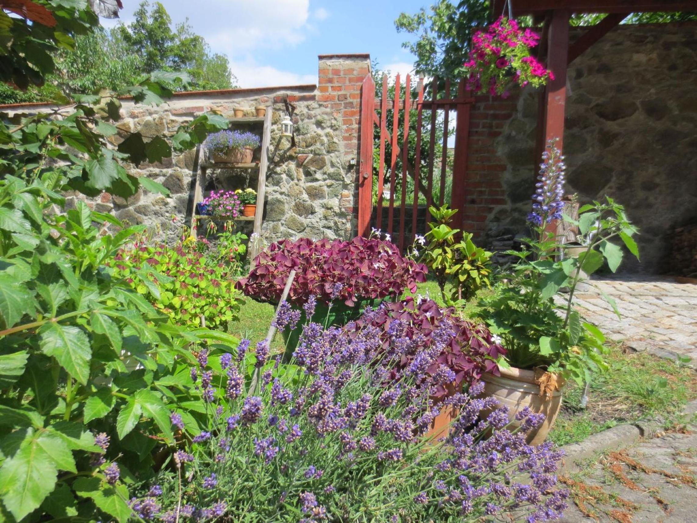 Photo 20